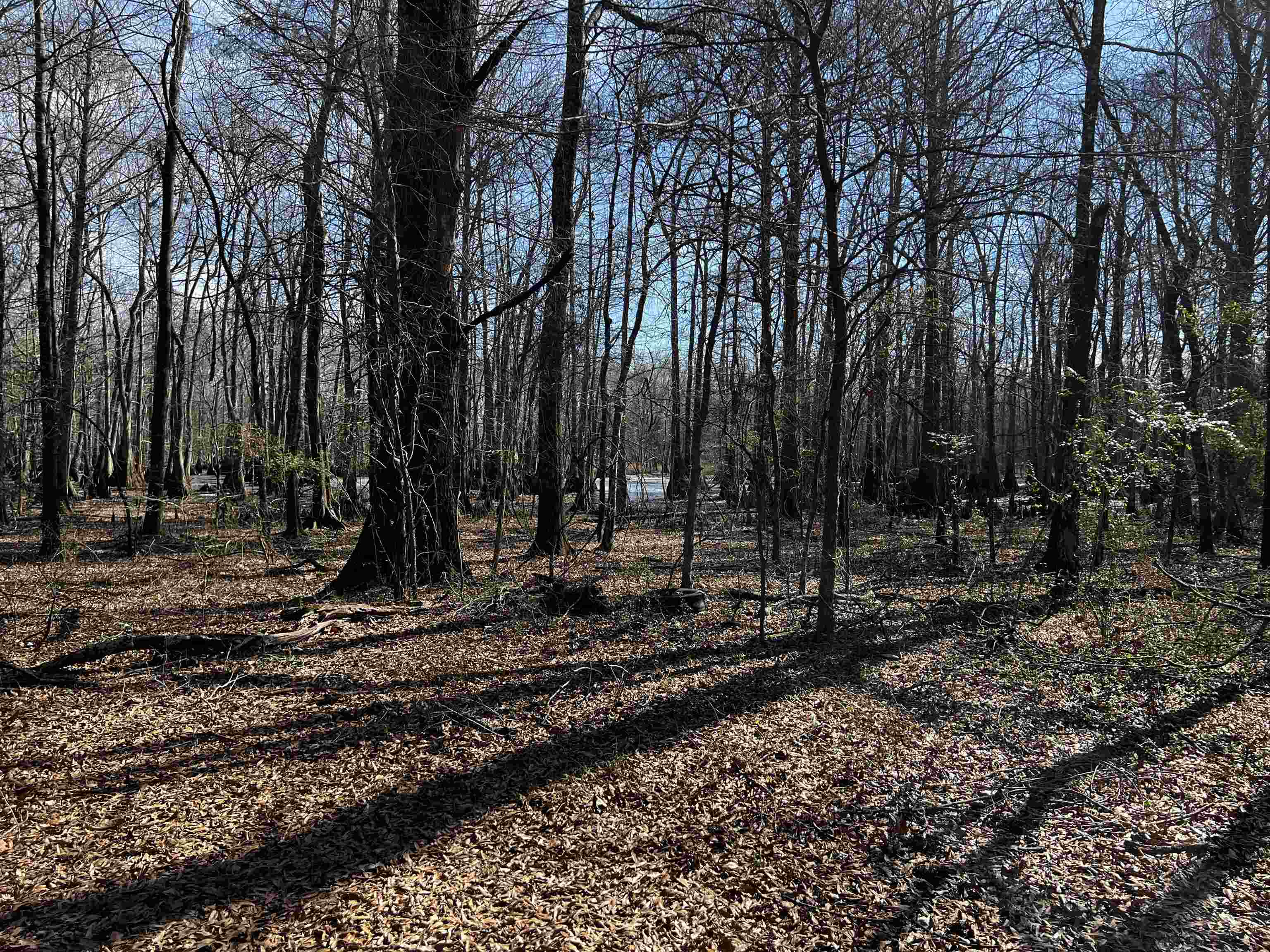 Metes & Bounds - Land