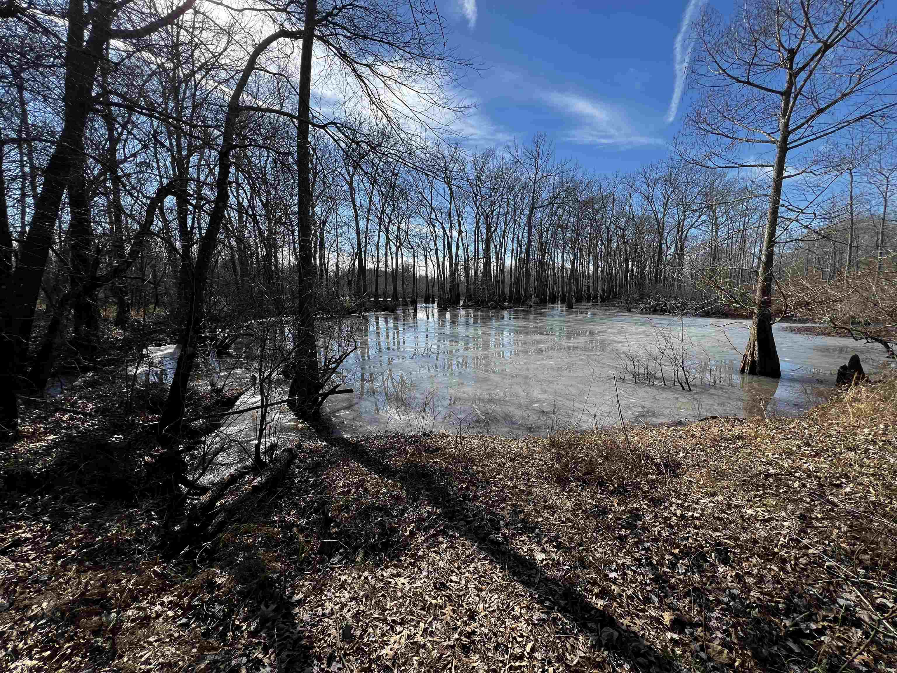 Metes & Bounds - Land