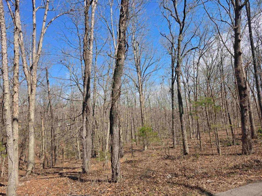 Nice large lot in the curve of Powhatan with a gentle front to back downward slope. This lot sits has a wet weather creek on the left side property line. Lots of trees and lots of nature and wildlife. Come check this lot out, check out the view and see where you want to put your vacation home or your forever home. Retire here and fish 7 different lakes and golf 2 different 18-hole golf courses. Don't forget about the beautiful South Fork River that flows right through the Village. Shop in Old Hardy town and trout fish the Spring River. That's living the Cherokee Village lifestyle.