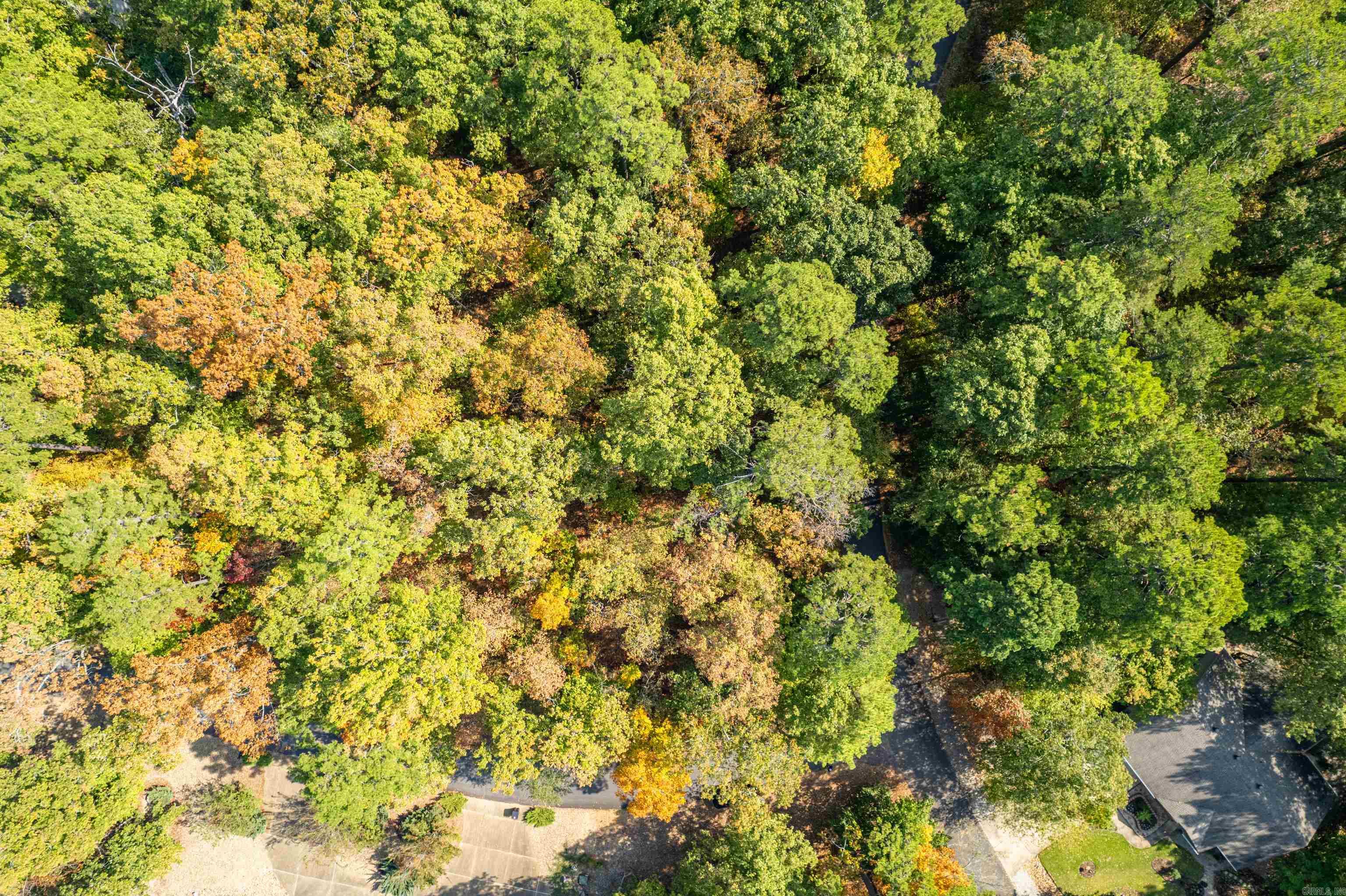 Side by side lots with a winter view of Lake Cortez. These lots have been hand selected by a premium builder here in HSV. Please call for details!