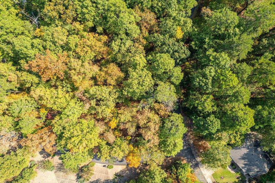 Side by side lots with a winter view of Lake Cortez.  These lots have been hand selected by a premium builder here in HSV.  Please call for details!