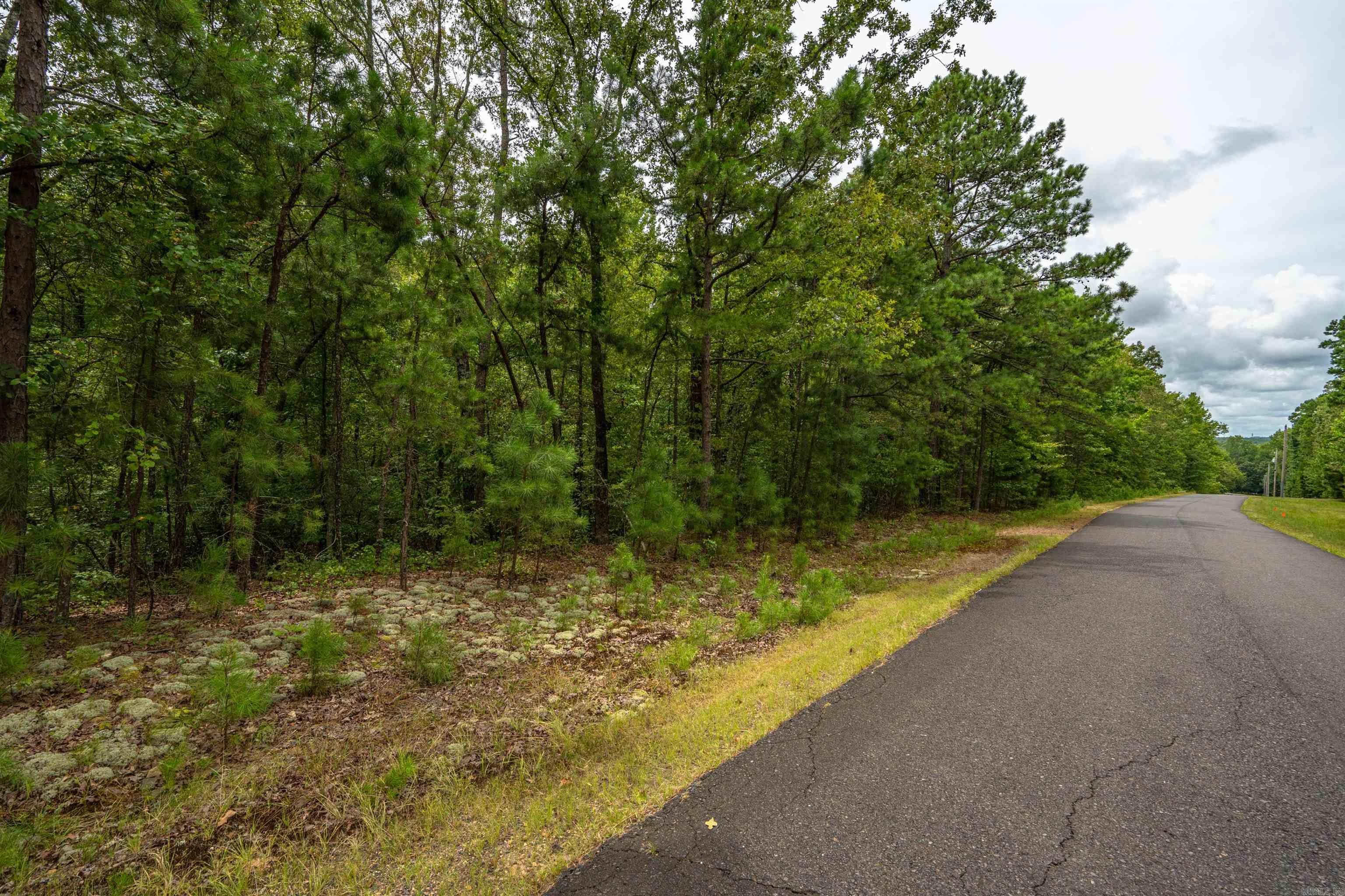 Eagles Ridge - Land