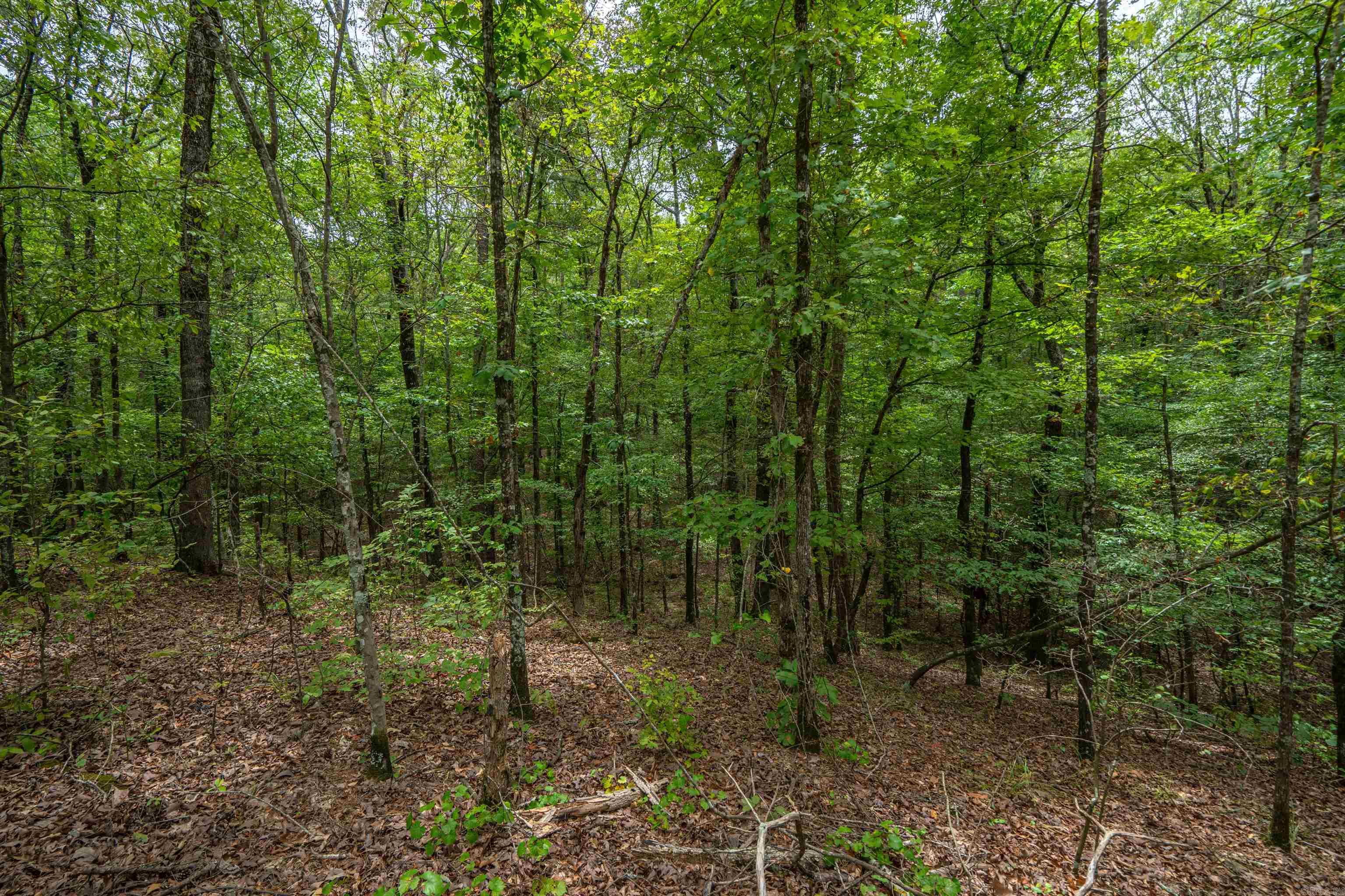 Eagles Ridge - Land