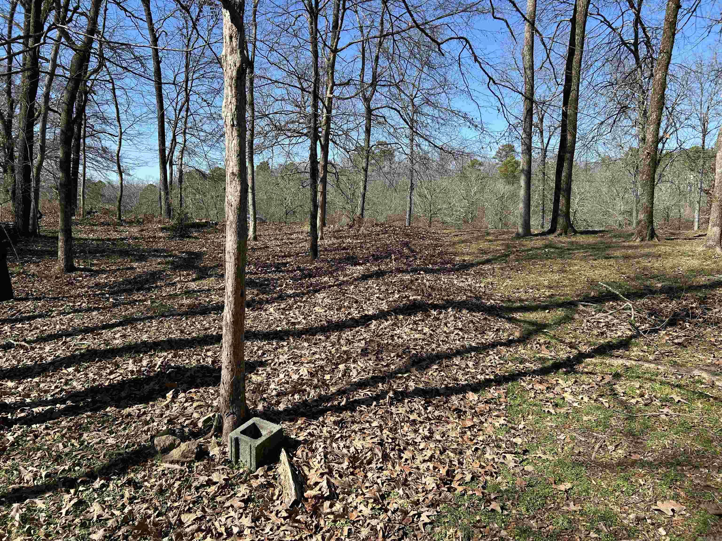 This wooded 0.52 acre lot overlooks the picturesque view of the PGA sanctioned 18 hole golf course. Electricity, water & sewer available at the street. Imagine waking up to the lush greenery and relaxing in the peaceful surroundings. When you're not playing golf you can partake of the many community activities jsut minutes away such as the Olympic sized swimming pool, playground, 19th hole country club with dining, pavillion for picnics, tennis, basketball and pickleball courts.