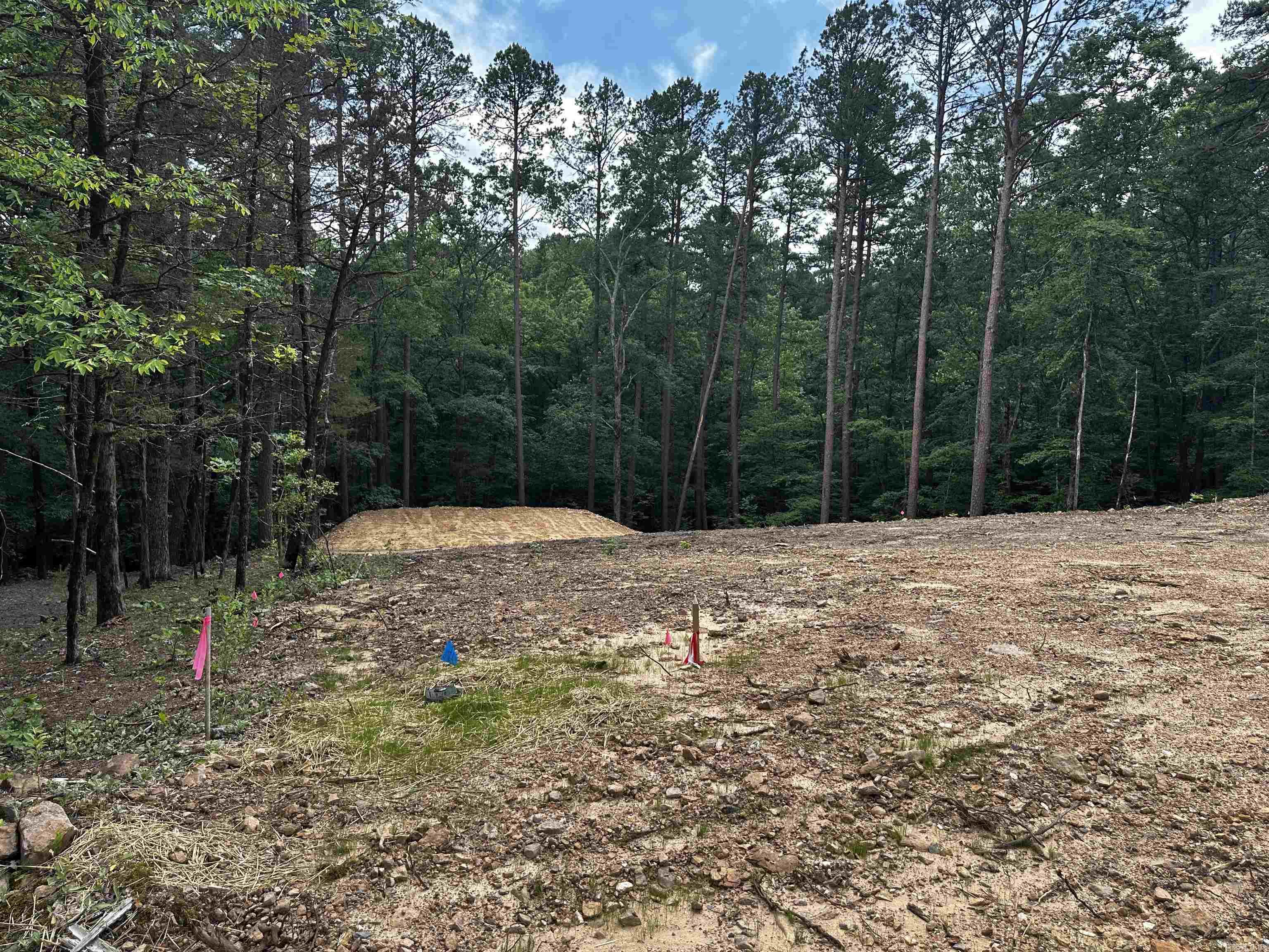 Here is the perfect spot to have your lake retreat. Water and Septic are already on the property. New Survey. The lots back up to a beautiful creek. Come by and take a look!! Mobiles are allowed. Just minutes from Cherokee Park.