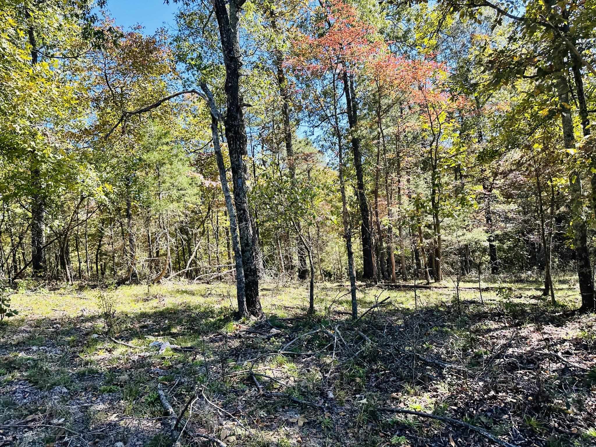 Metes & Bounds - Farm