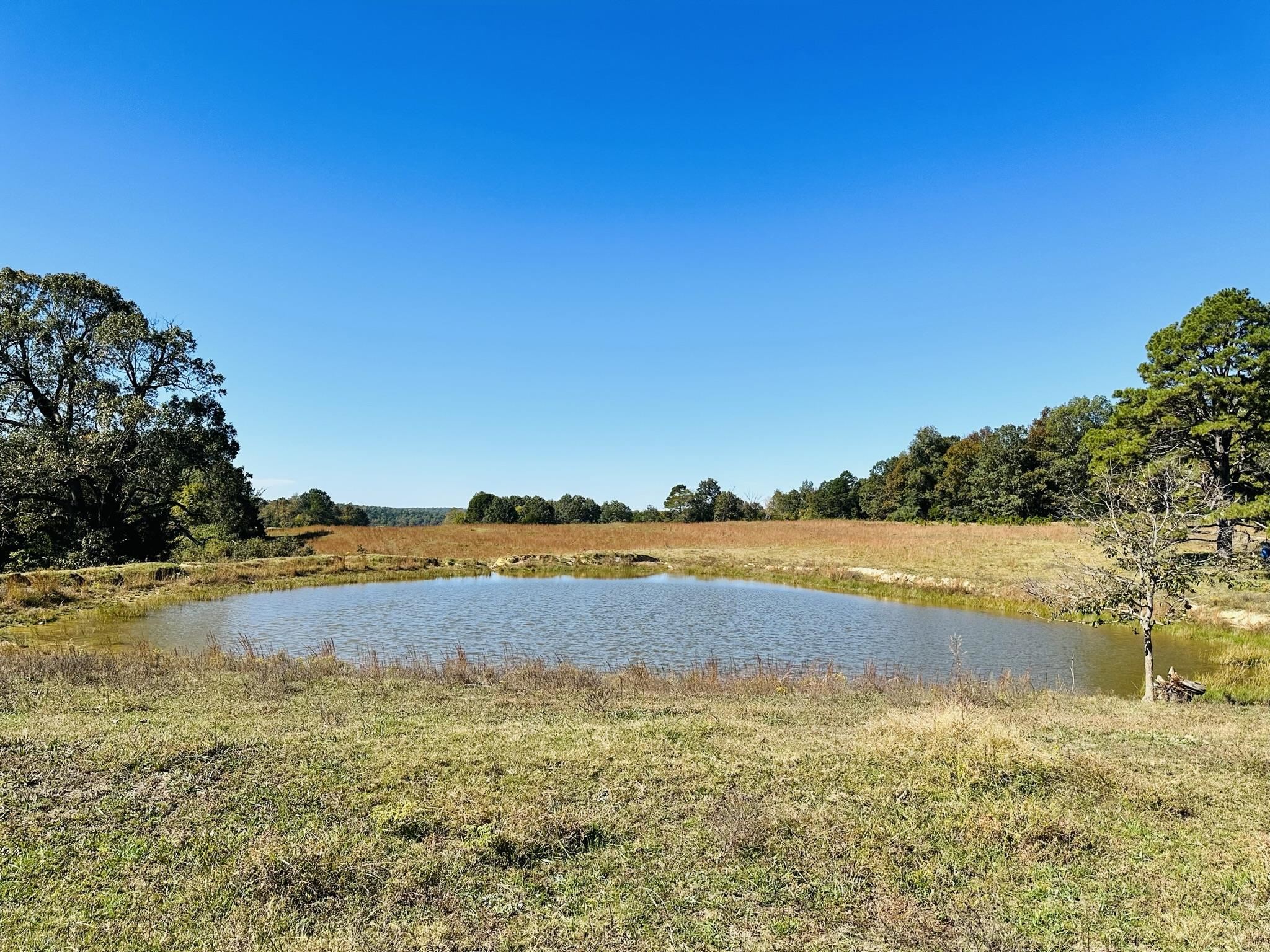 Metes & Bounds - Farm