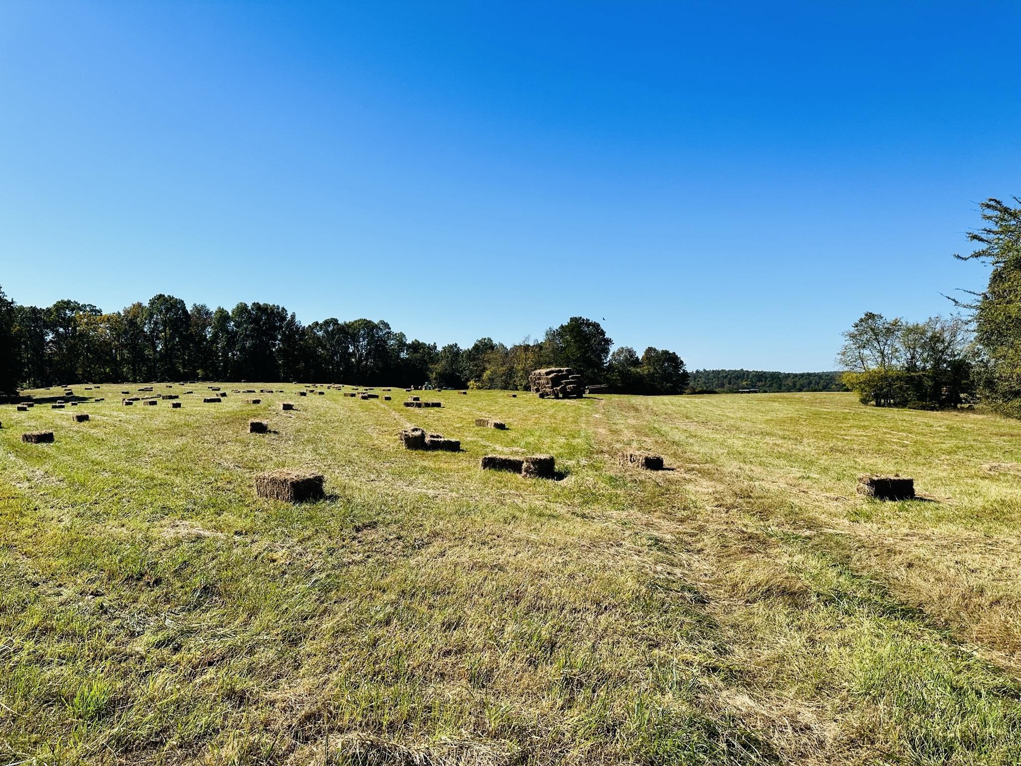 Metes & Bounds - Farm