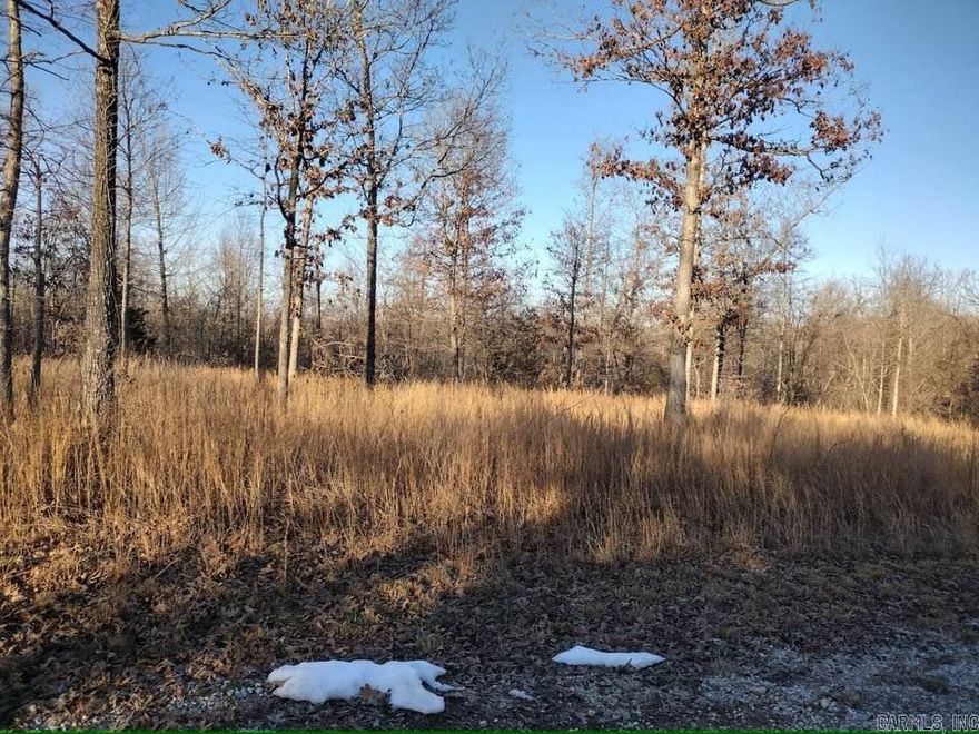 Vacant land ready for you to build on.. Utilites available at the road and underground utilities with no restrictions.