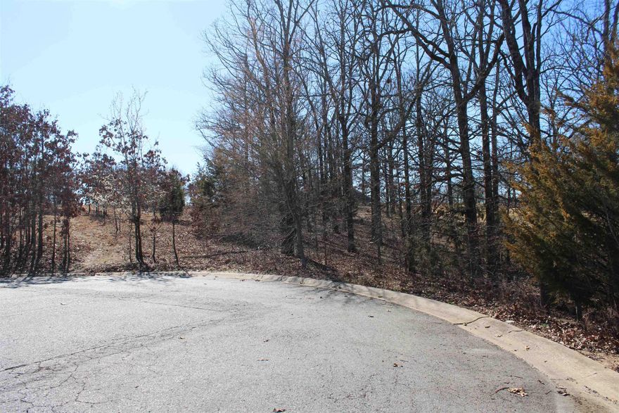 This is a one of a kind opportunity located in a exclusive neighborhood inside Cabot's beautiful Greystone Subdivision. The only lot left in this subdivision lies at the end of Algonquin Court in the cul de sac backing up to Hole 8's green. **Agents/Investors be sure to check out the By Laws and Bill of Assurance for building restrictions located in associated docs.
