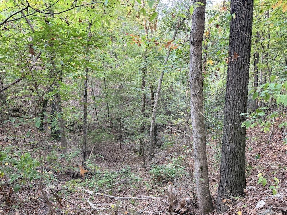 Not in Subdivision - Land