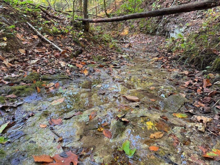 ChatGPT said:  Nestled in the Ozark Mountains near Big Flat, Arkansas, this Searcy County tract blends seclusion, natural beauty, and accessibility. Rolling terrain with hardwood ridges, wide benches, and a well-kept internal road lead to a ridge-top clearing perfect for a future home or food plot. Rare amenities like electric, rural water, and a year-round spring enhance its value. Mature hardwoods, including quality oak, offer marketable timber and excellent wildlife habitat. Known for strong populations of deer, turkey, and bear, the hunting here is exceptional, with diverse terrain supporting year-round outdoor recreation. Beyond the property, Blanchard Springs Caverns, the Buffalo National River, and the Ozark National Forest provide endless opportunities for hiking, fishing, and floating. With utilities nearby, a prime building site, and outstanding hunting potential, this property offers the perfect balance of privacy and accessibility for anyone seeking a true Ozark retreat.