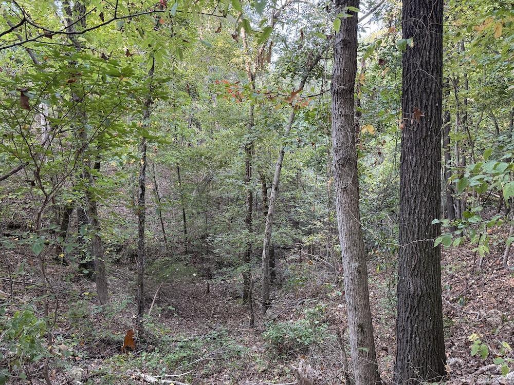 Not in Subdivision - Land