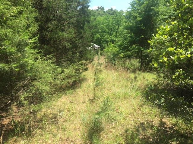 This rural 8 acre property is located just North of Calico Rock, Arkansas, in a secluded area. Featuring an old house site, this land has access to electric and fiber optic internet, making it ideal for a variety of uses.  Situated approximately 6 miles from Calico Rock, Arkansas and 20 miles from Mountain Home, Arkansas, this property offers convenient access to nearby amenities. This land is near the White River and Norfork Lake, both renowned for fishing and recreational opportunities. Additionally, it’s only a short drive to the National Forest and other scenic recreational areas. This land could become an ideal spot to build a retirement home, cabin, or getaway spot.  Priced at $49,900, this opportunity awaits your vision.