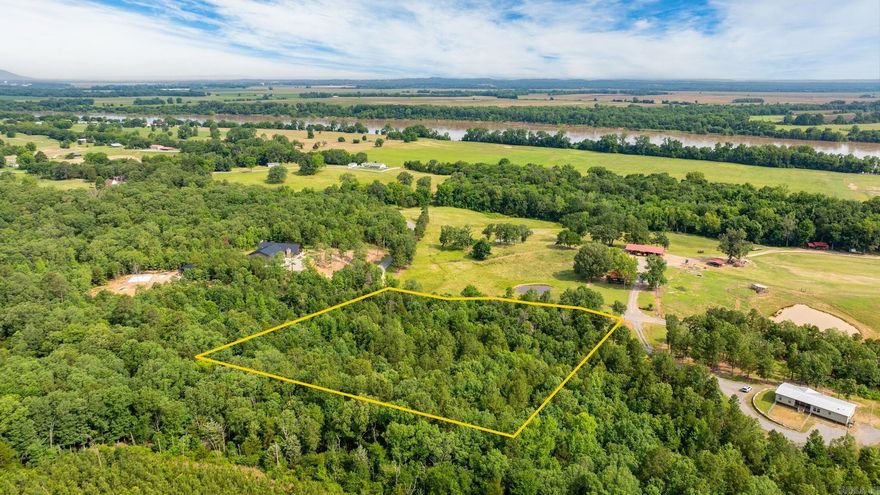 Incredible 3.71 Acre tree covered lot in Stony Point just minutes from Conway. This lot is located in a peaceful and quiet area ready to build your dream home! Electricity and water at street.