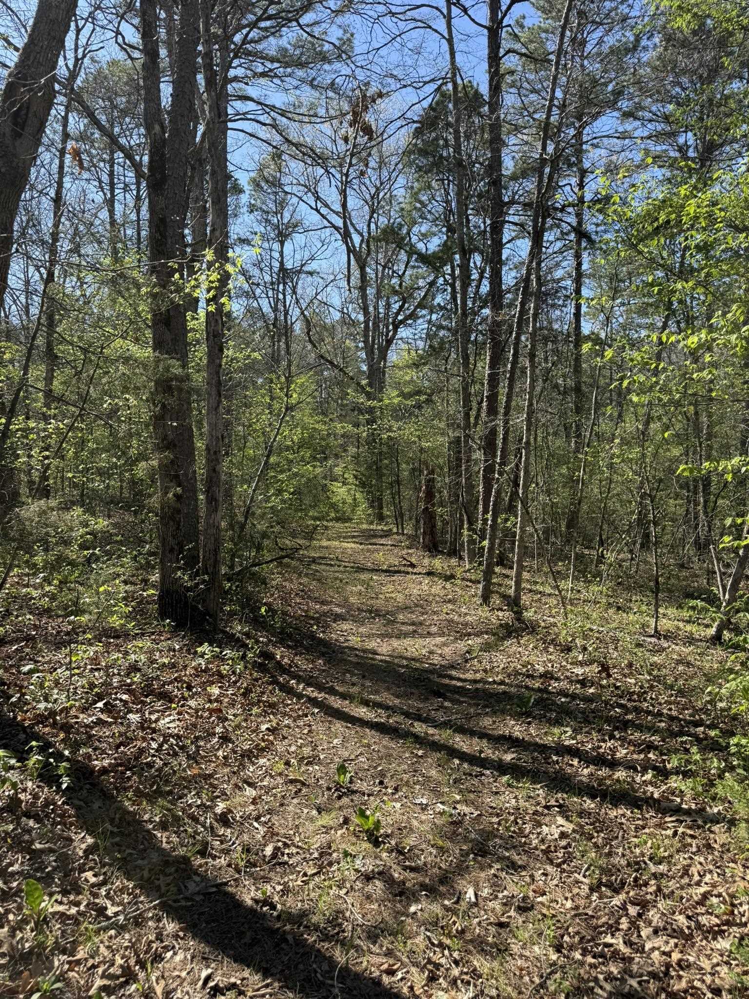 Metes & Bounds - Land