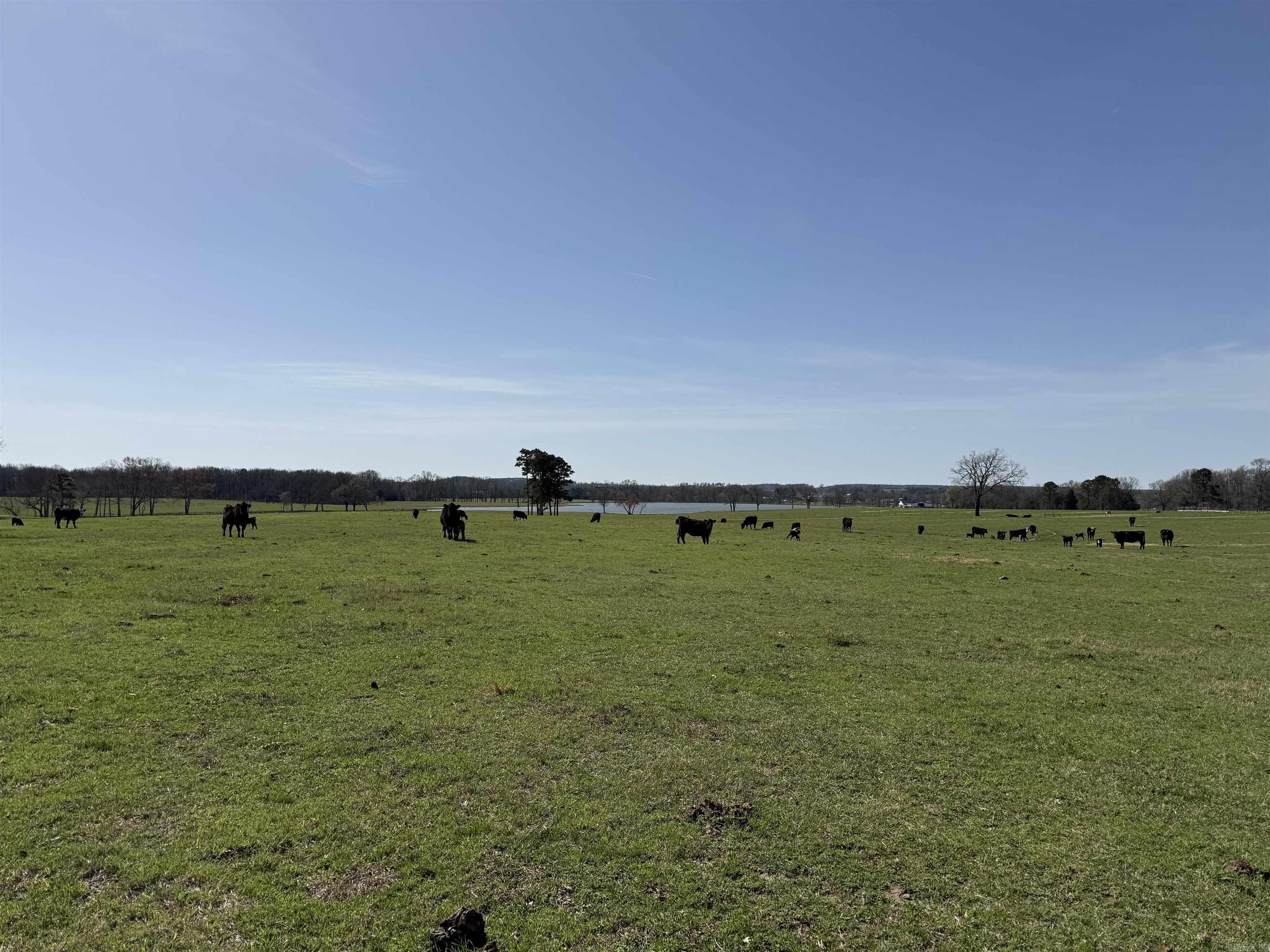 Metes & Bounds - Farm