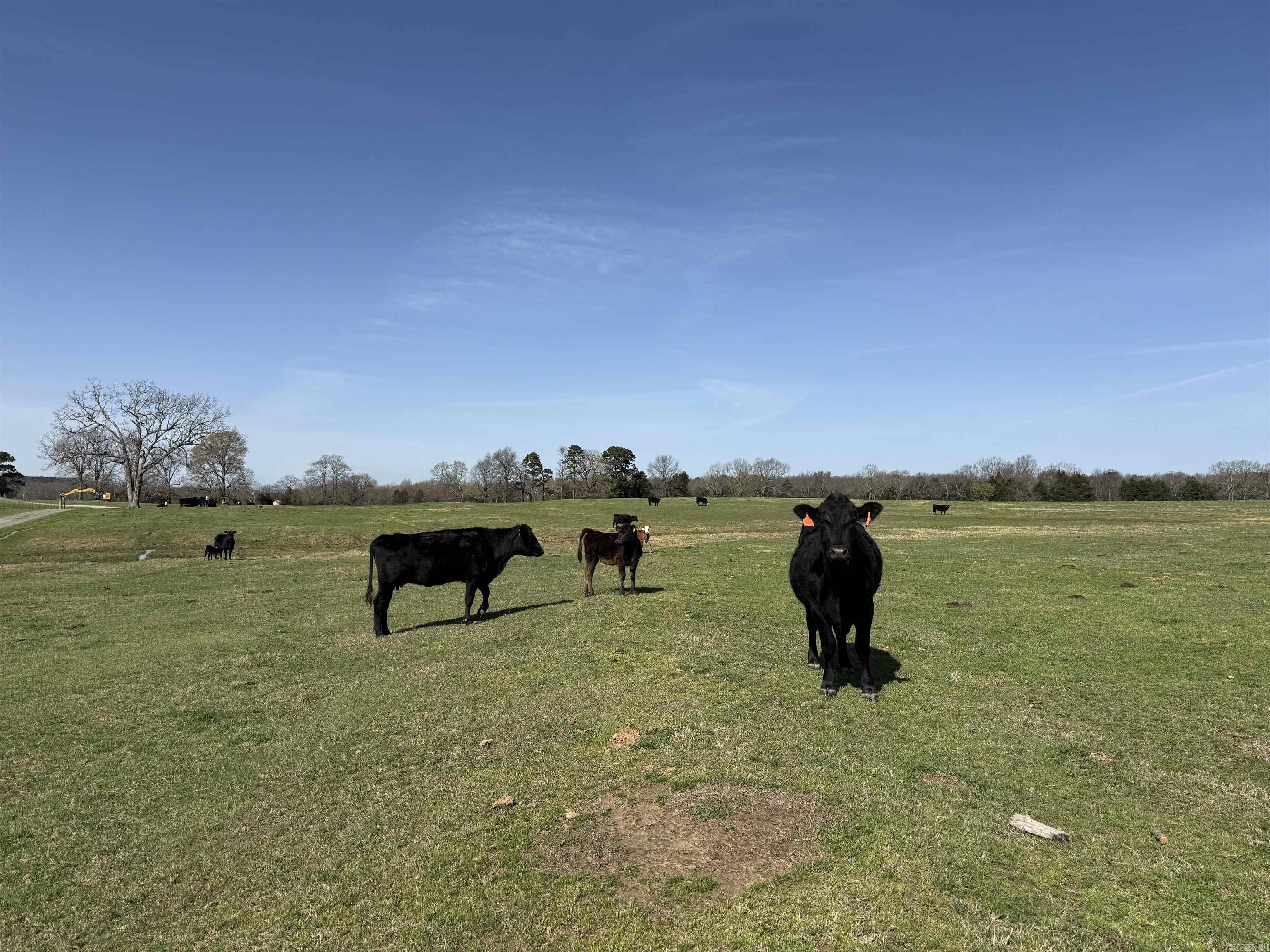 Metes & Bounds - Farm