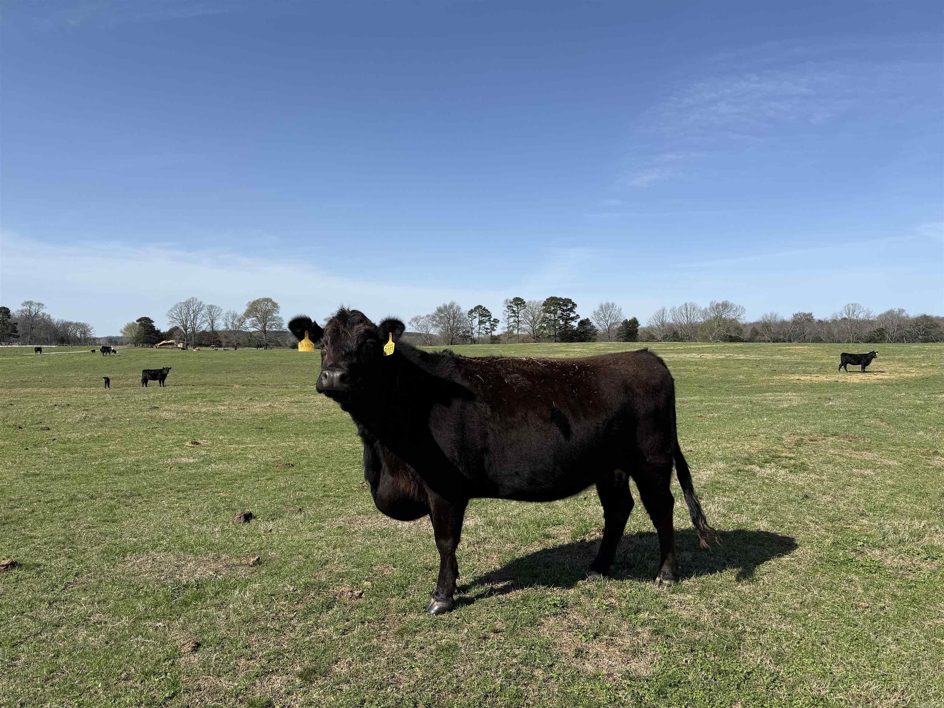 Metes & Bounds - Farm