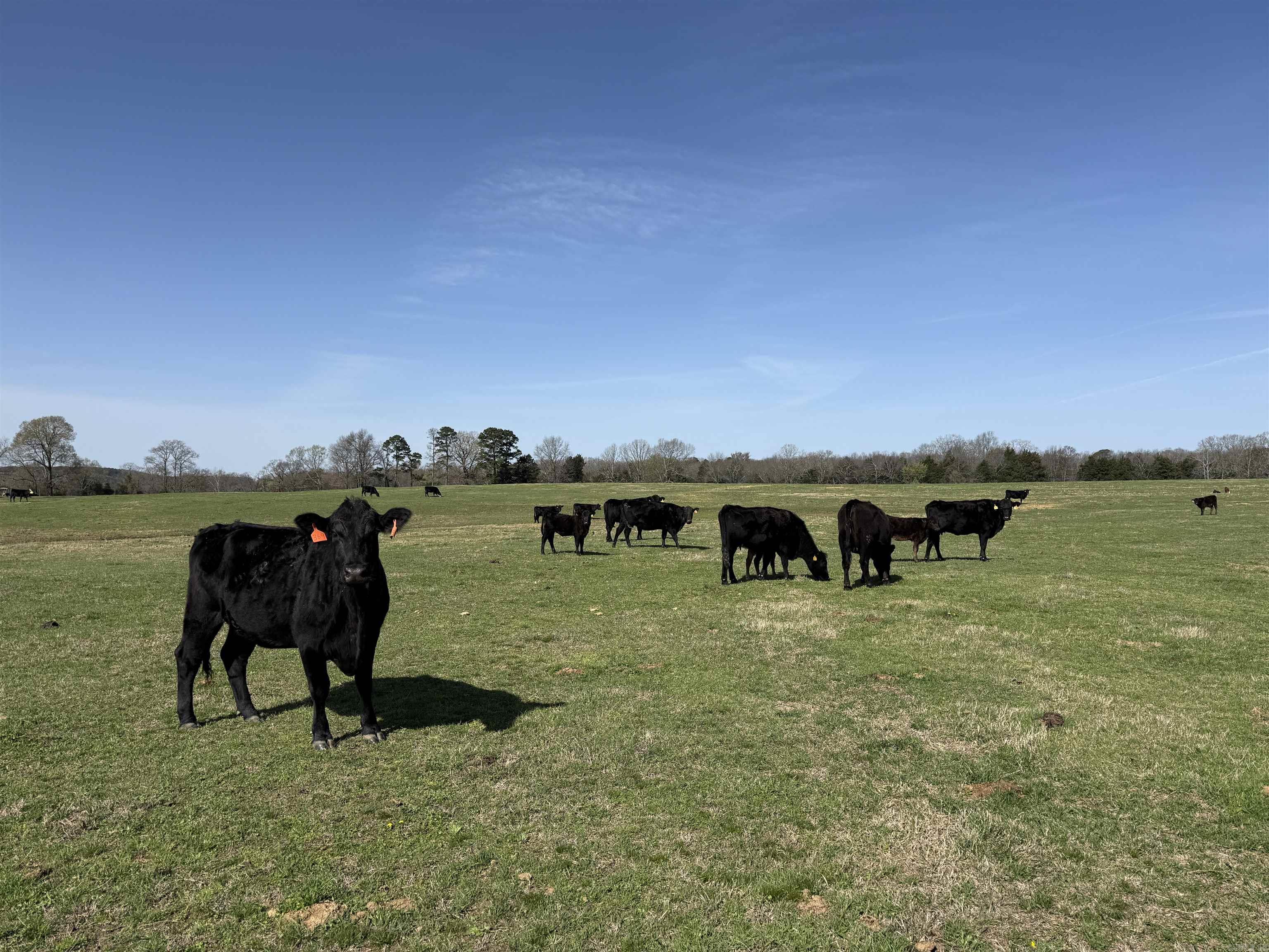 Metes & Bounds - Farm