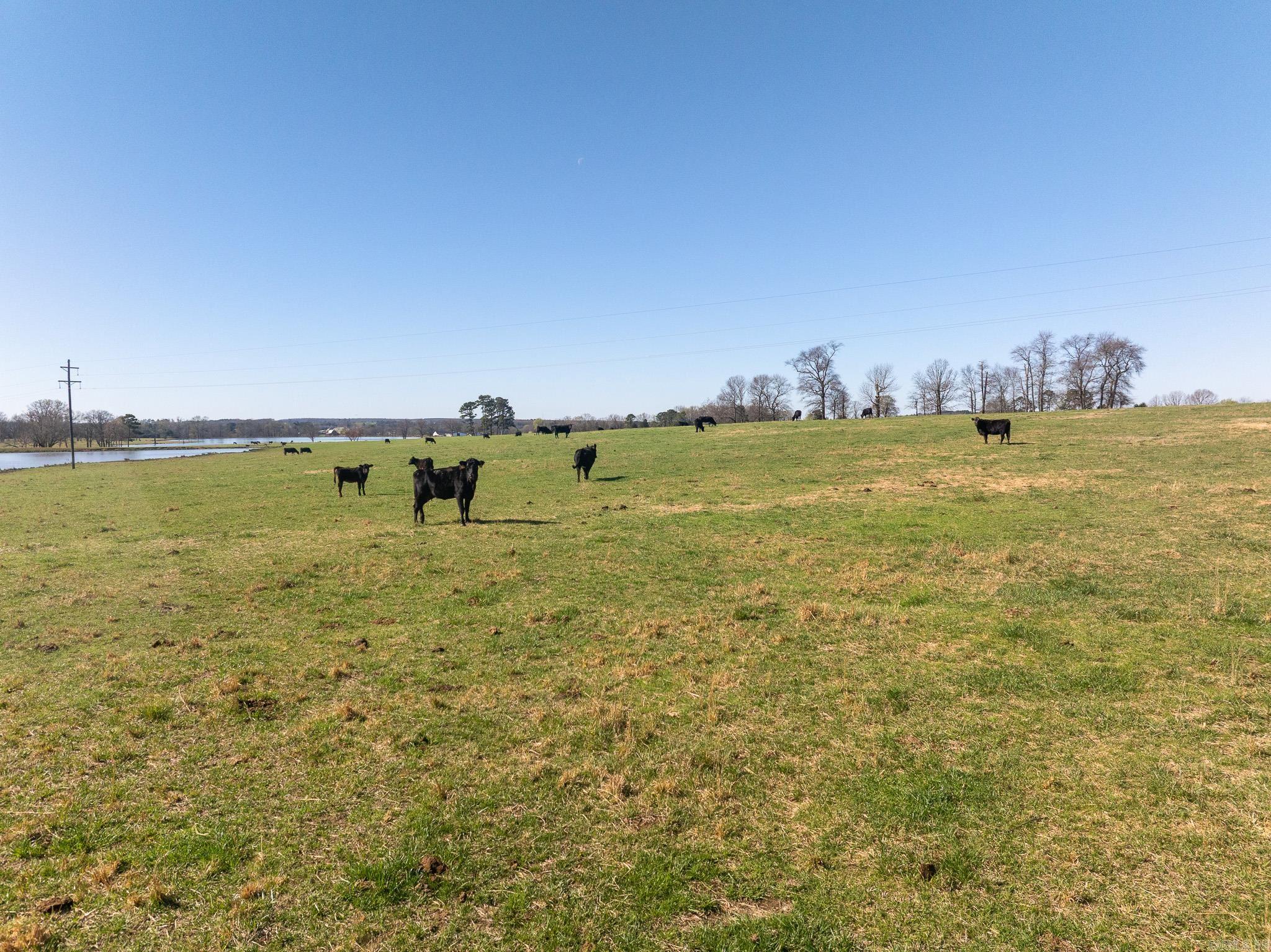 Metes & Bounds - Farm