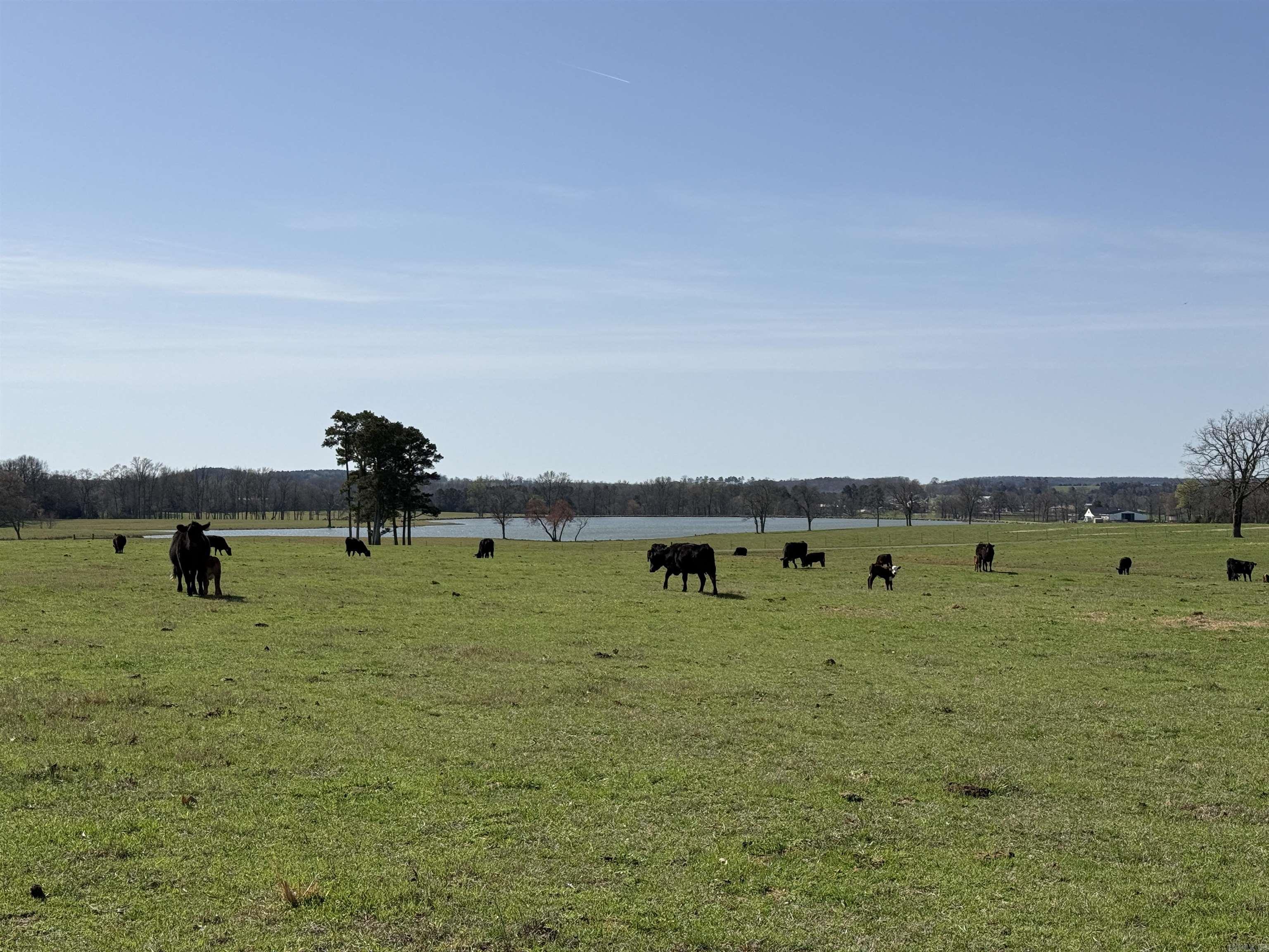 Metes & Bounds - Farm