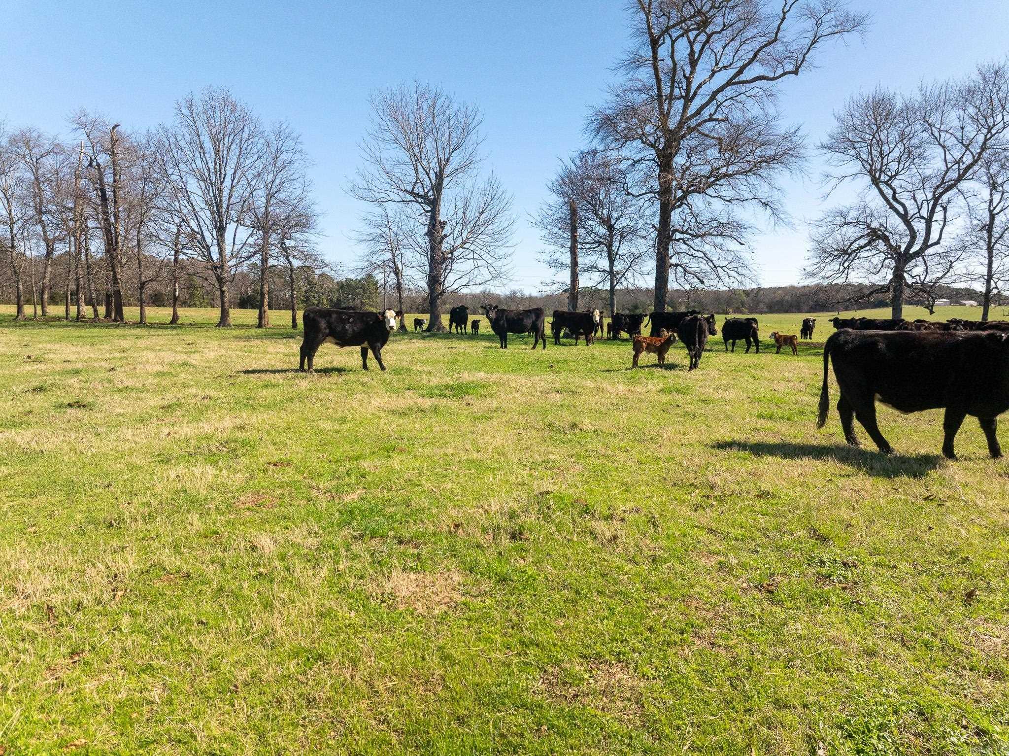 Metes & Bounds - Farm