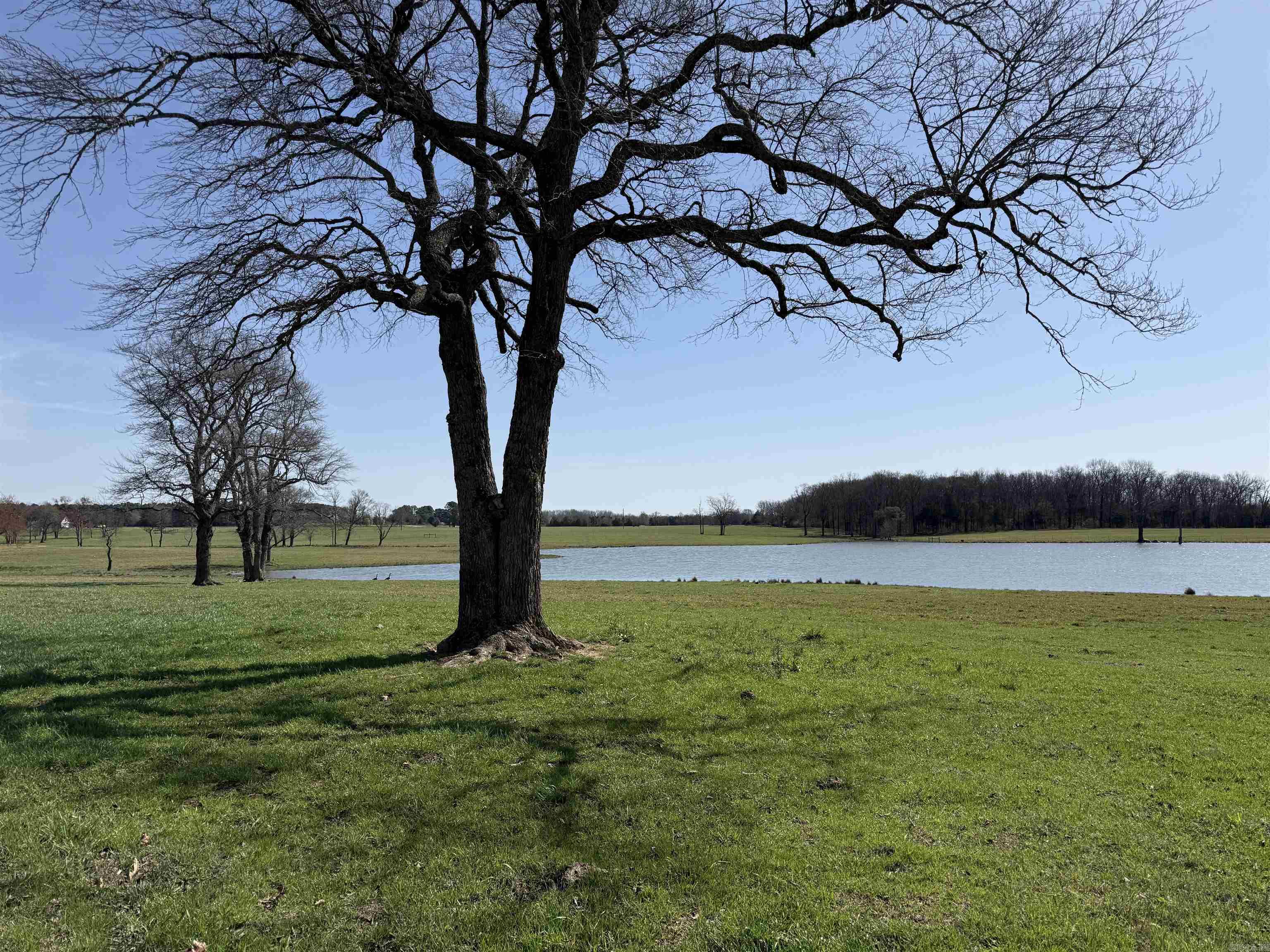 Metes & Bounds - Farm