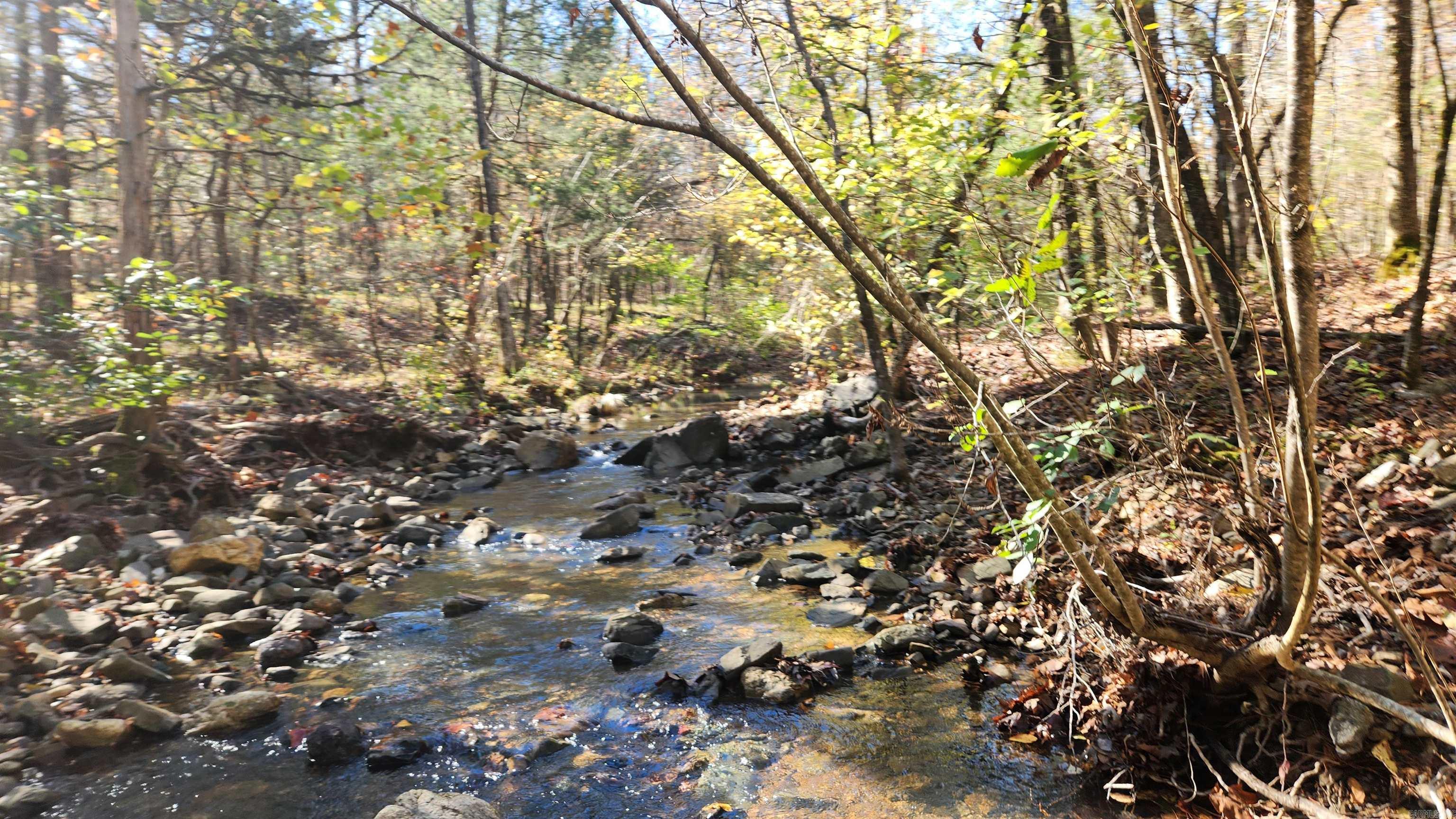 Hunter's dream property! 480 acres with National Forest on three sides. Easement is included. Mineral rights do convey. Parks Creek and Bear Den Creek run on the property. Mature timber with pine, native hardwood and nice grove of white oaks. The highest peak on this property is 1200 feet. You can own your own mountain! Wildlife include bear and deer. Property is very secluded and a perfect spot for your off-grid cabin.