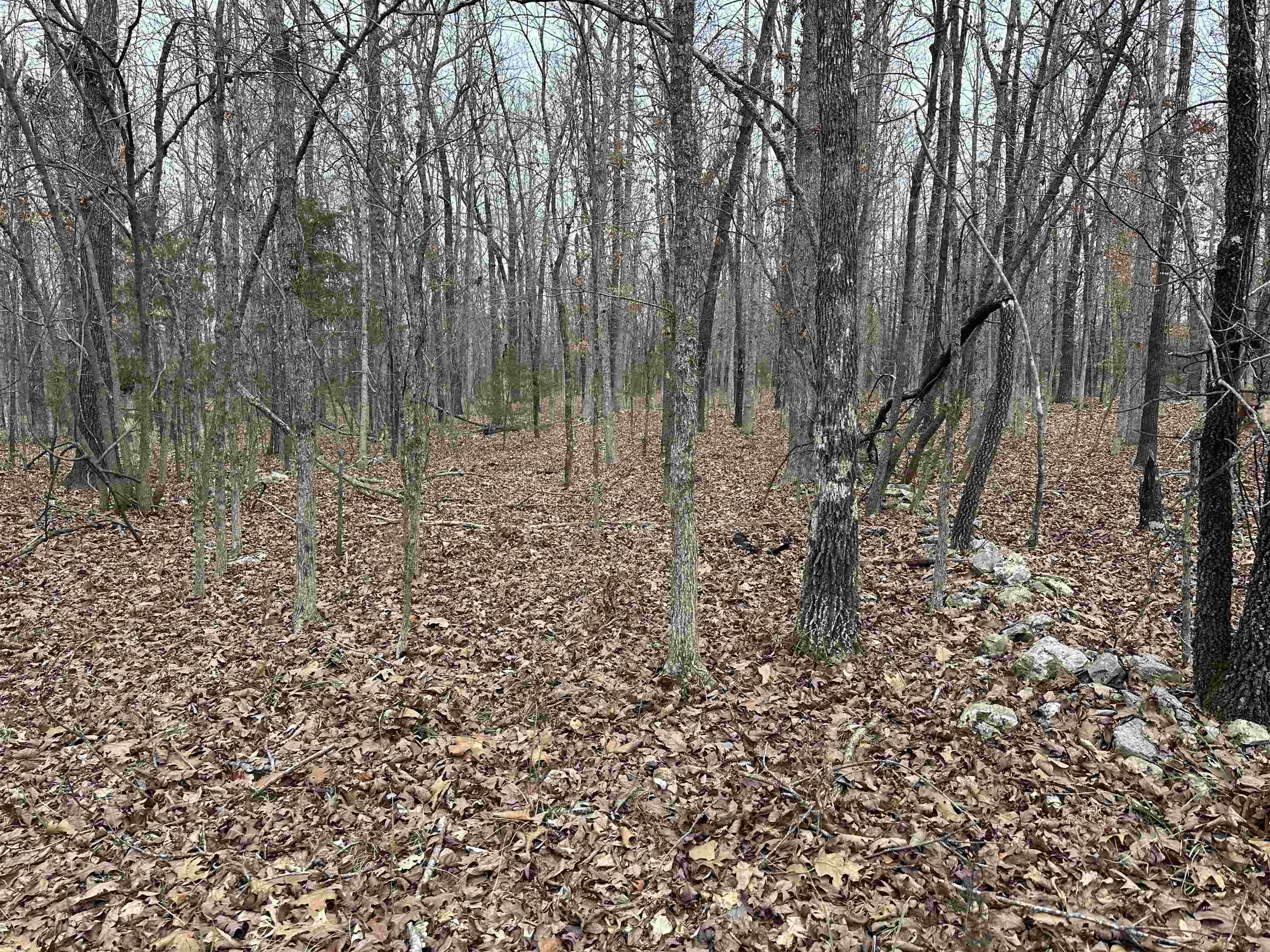 Metes & Bounds - Land