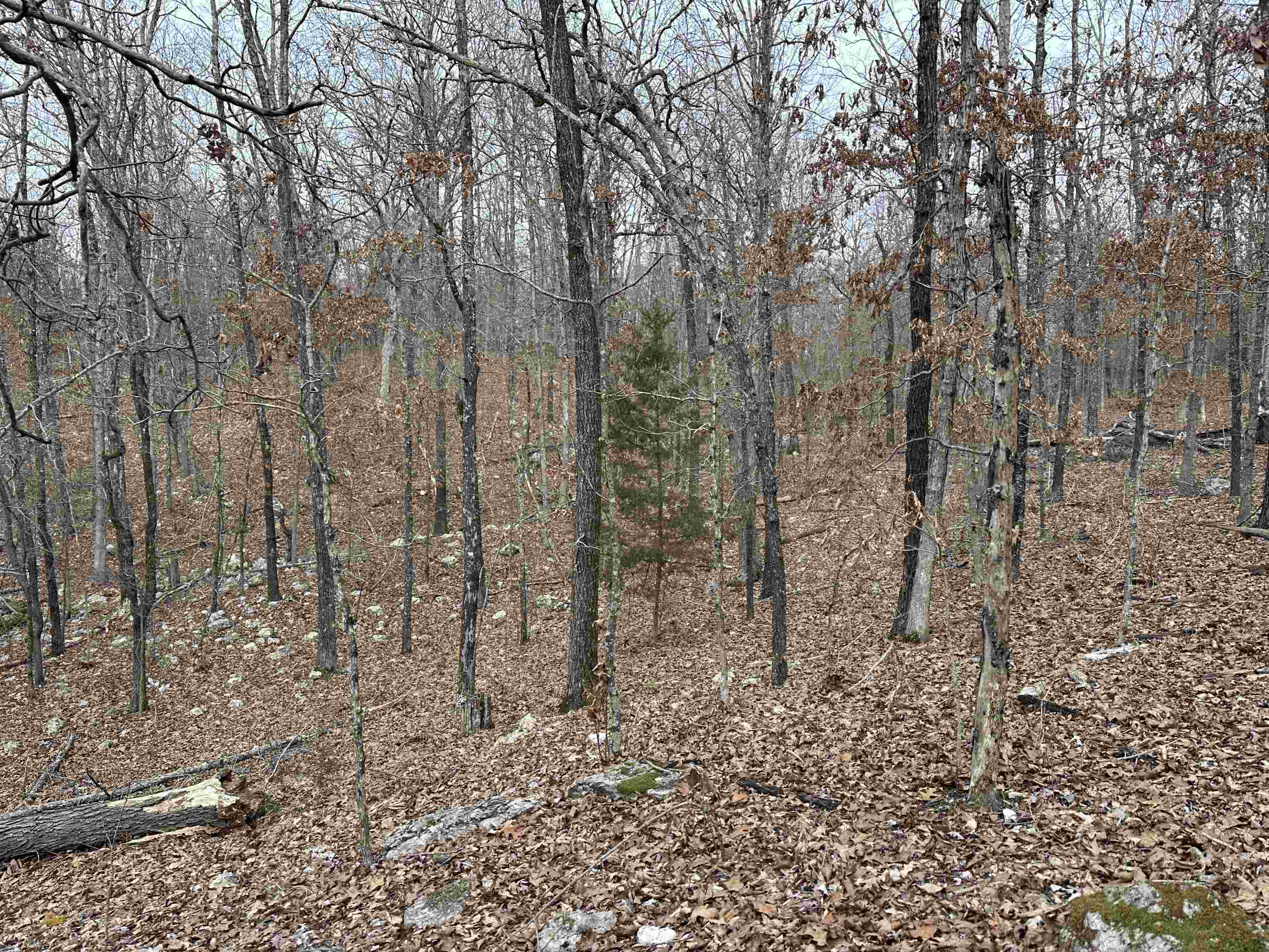 Metes & Bounds - Land