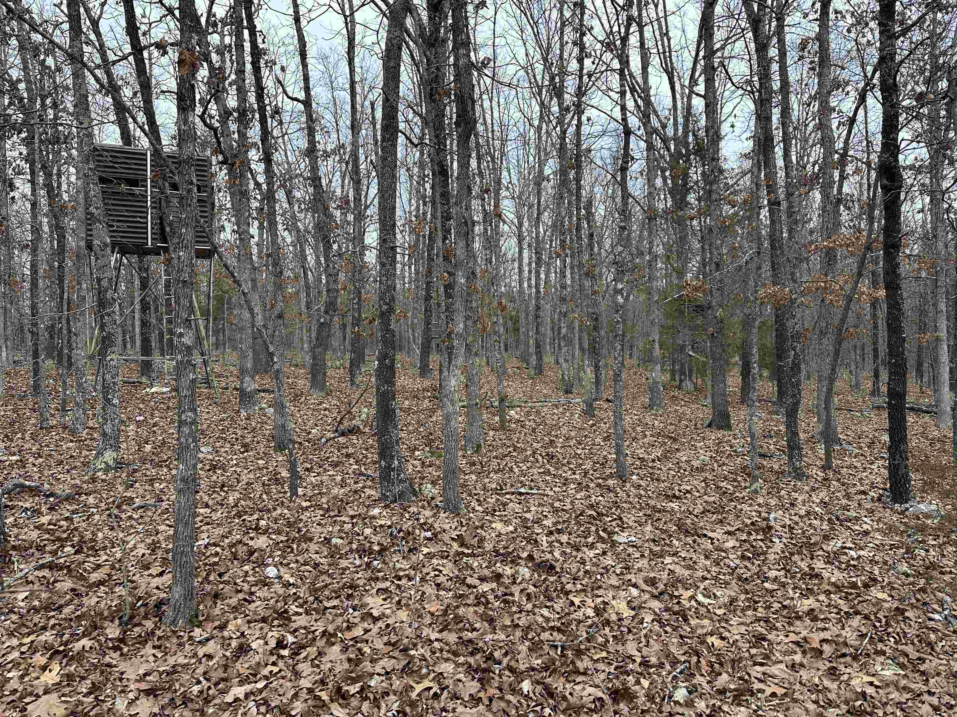 Metes & Bounds - Land