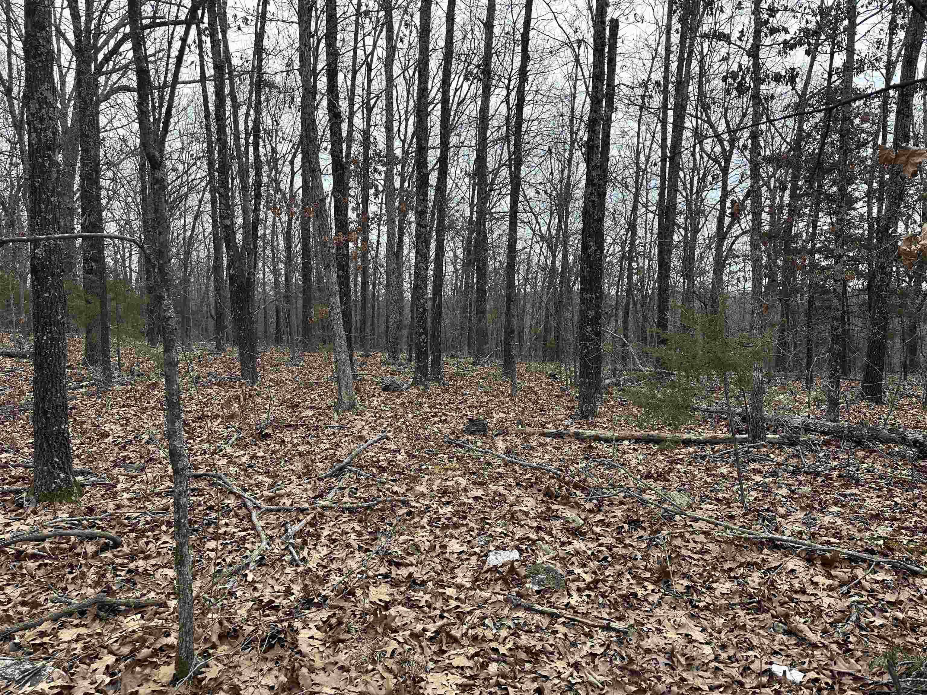 Metes & Bounds - Land