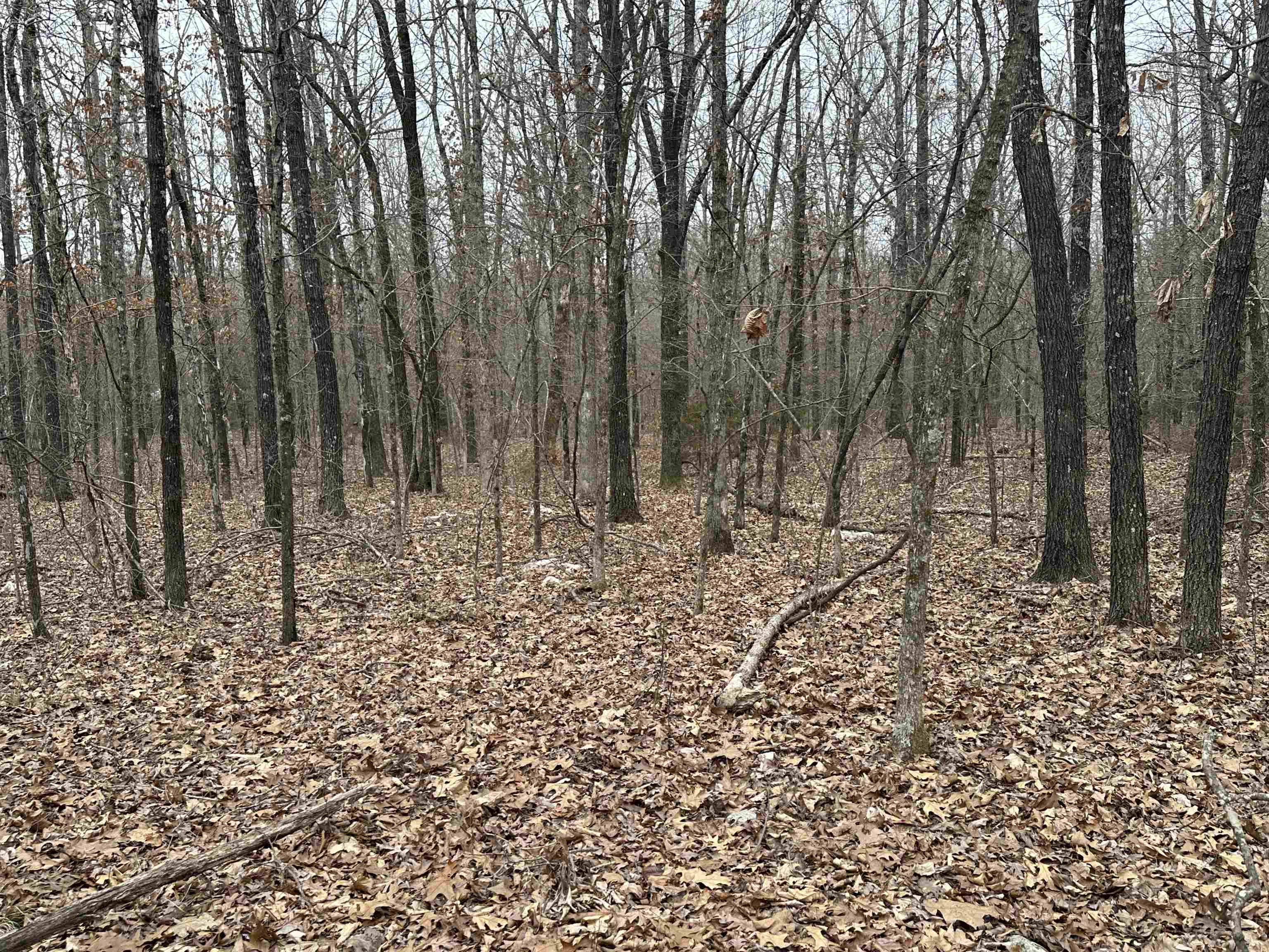 Metes & Bounds - Land