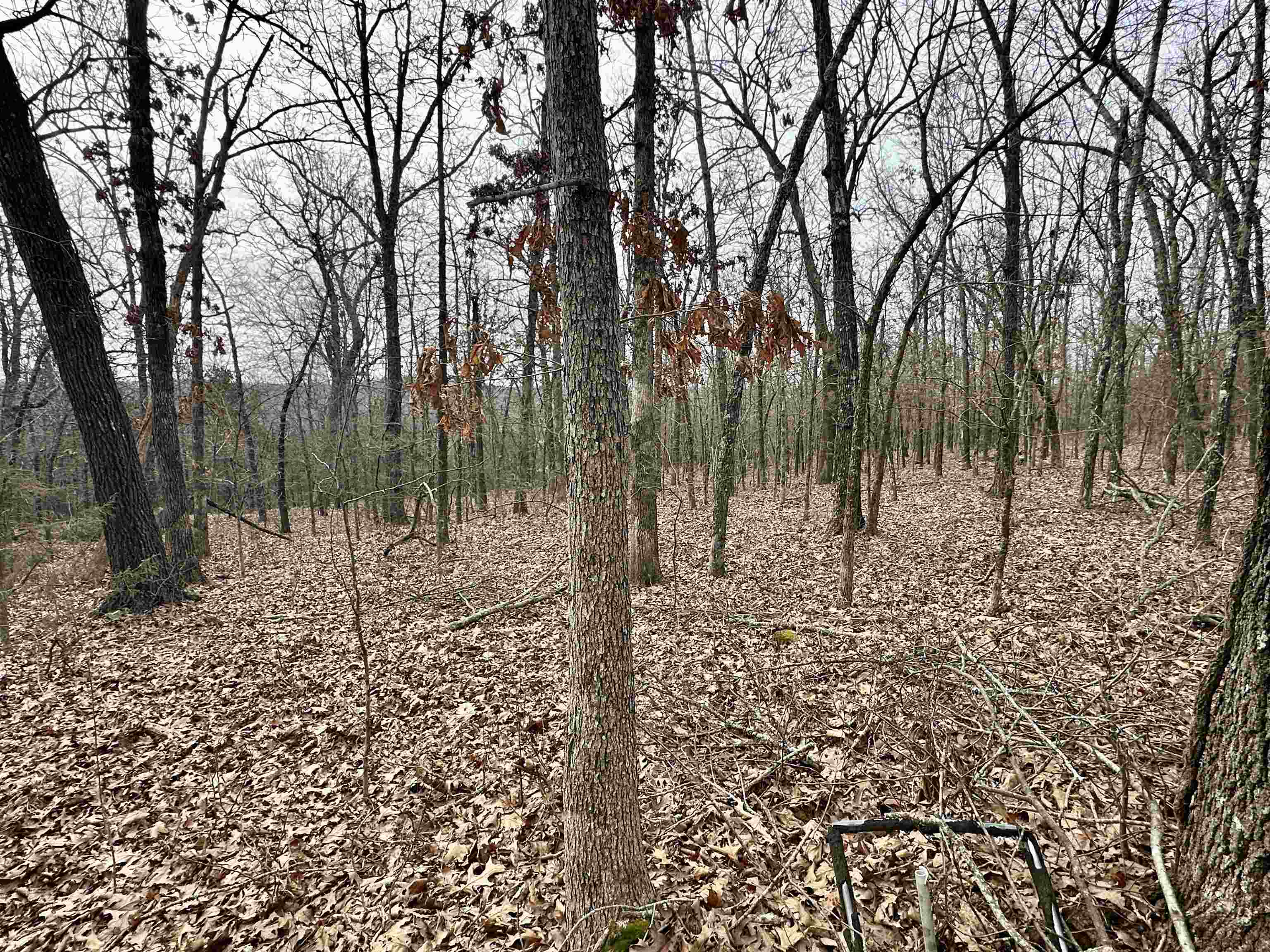 Metes & Bounds - Land