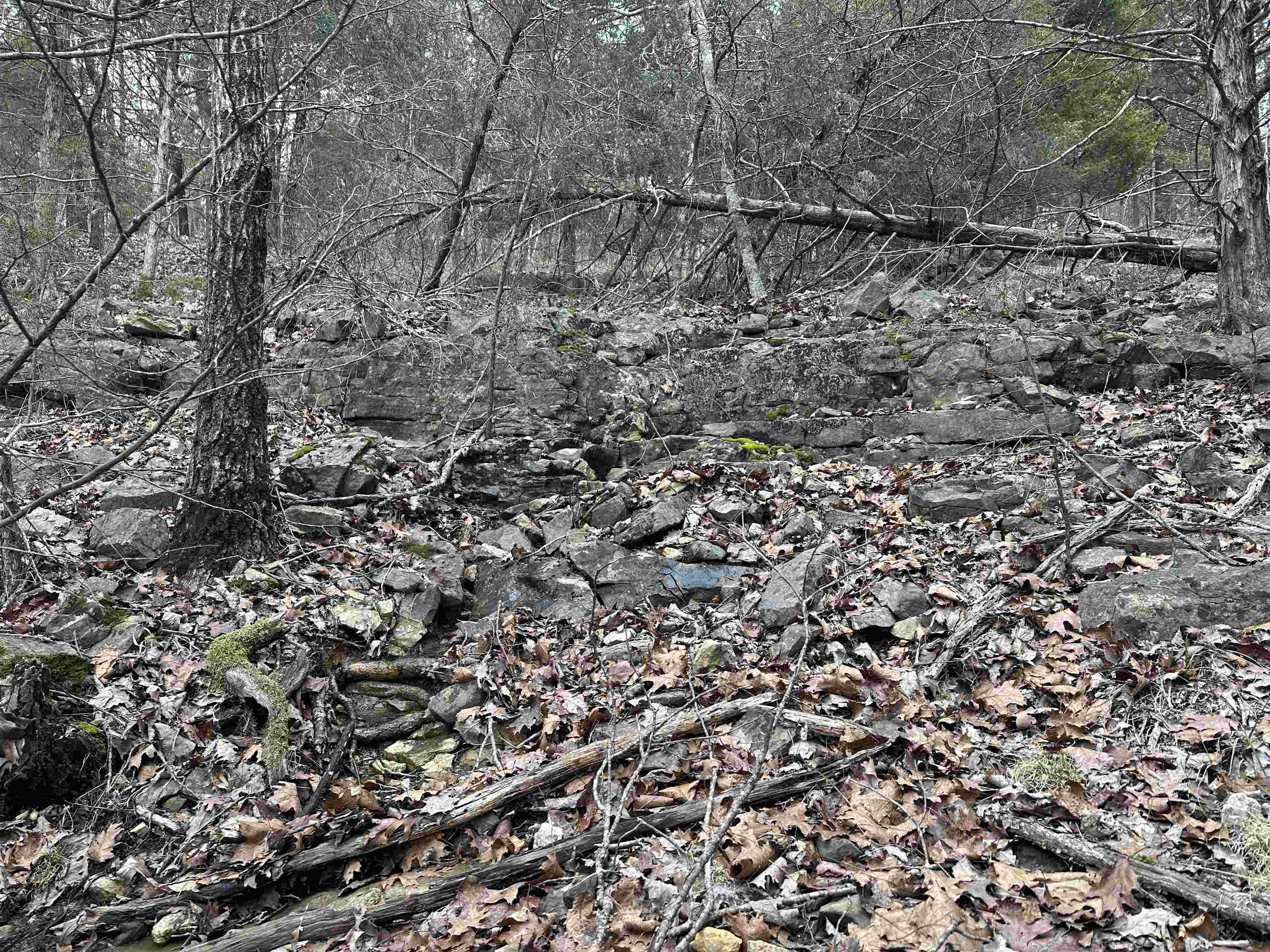 Metes & Bounds - Land