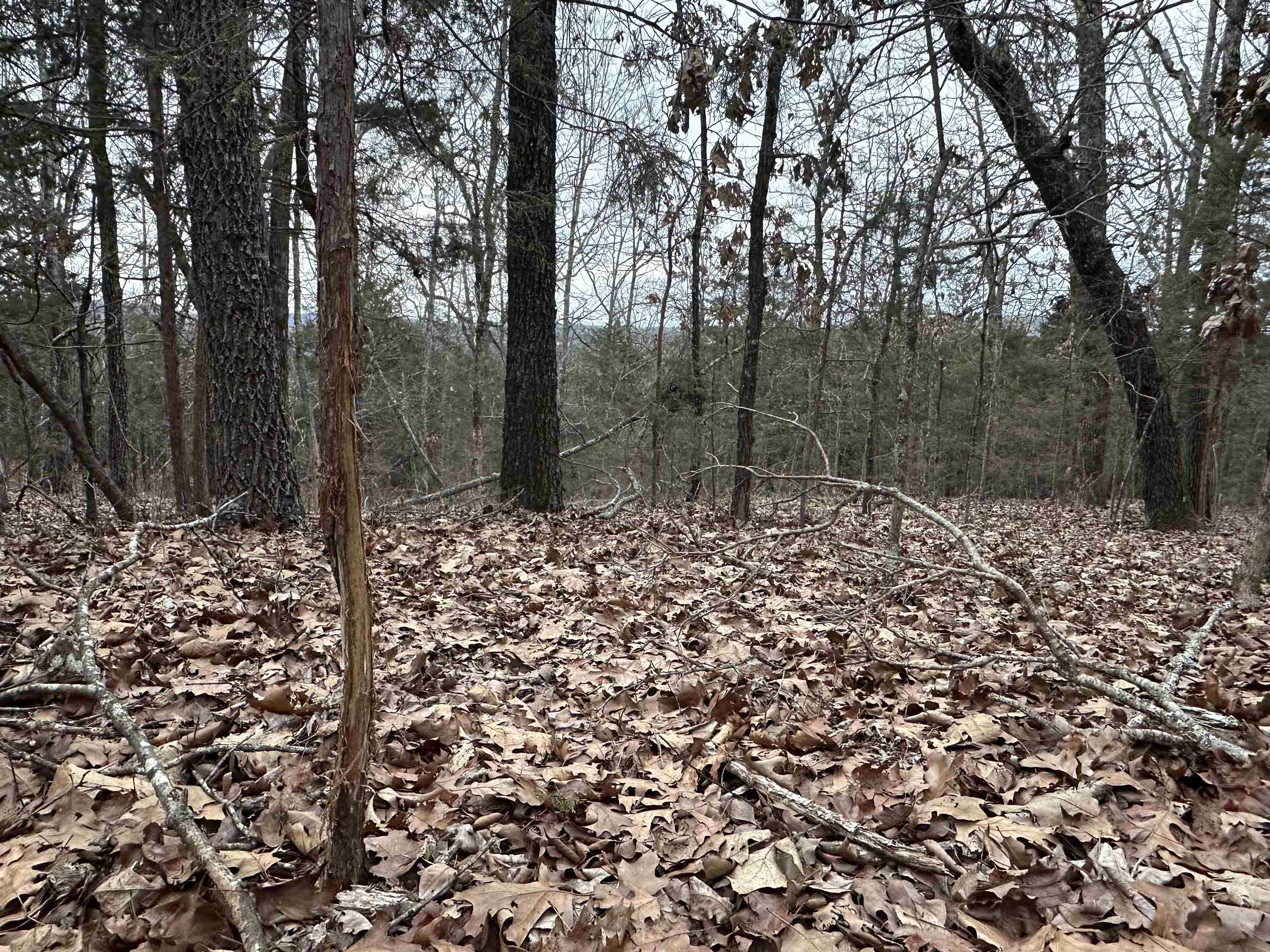 Metes & Bounds - Land