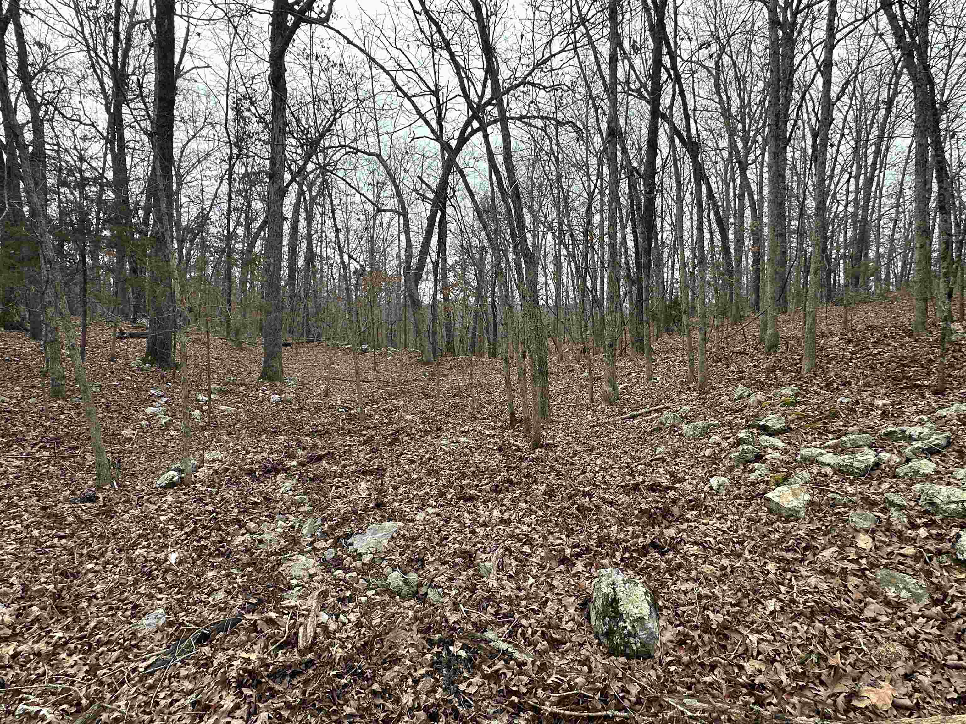 Metes & Bounds - Land