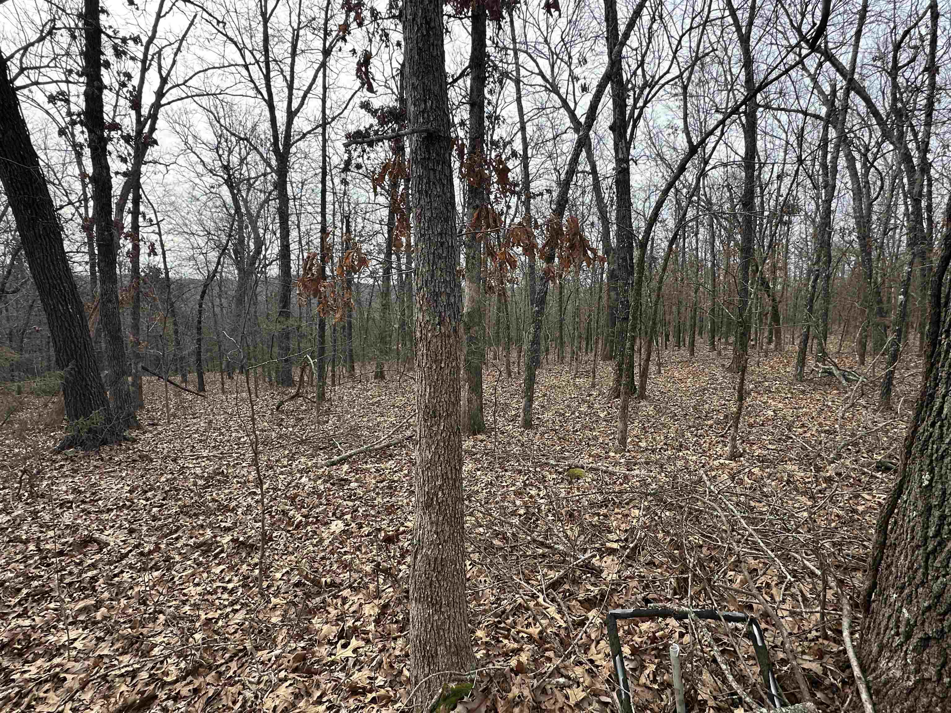 Metes & Bounds - Land