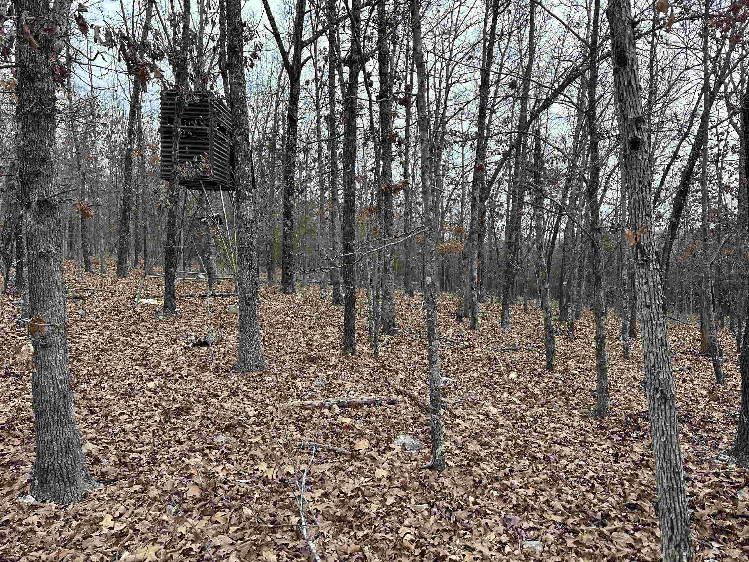 Metes & Bounds - Land