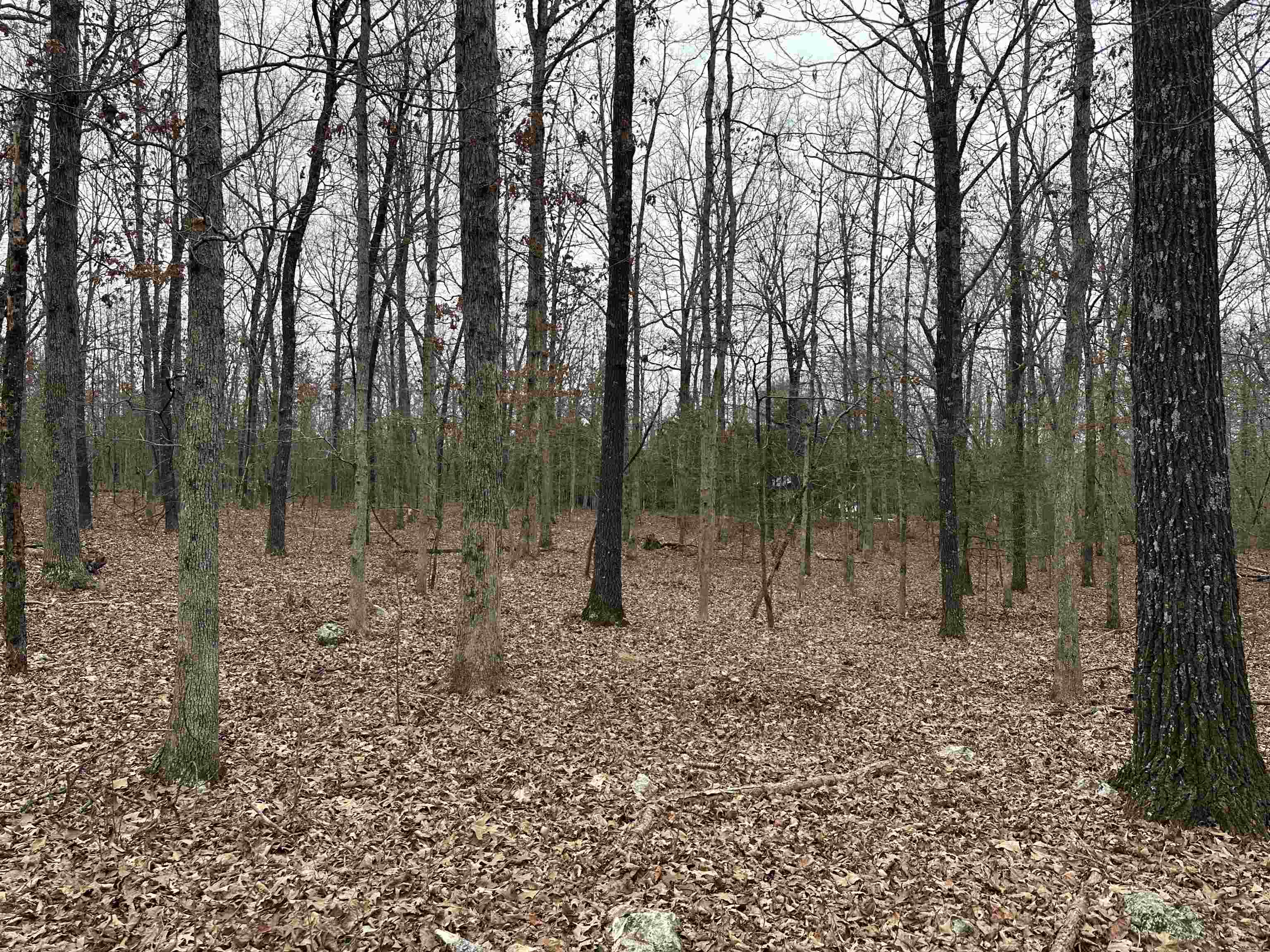 Metes & Bounds - Land