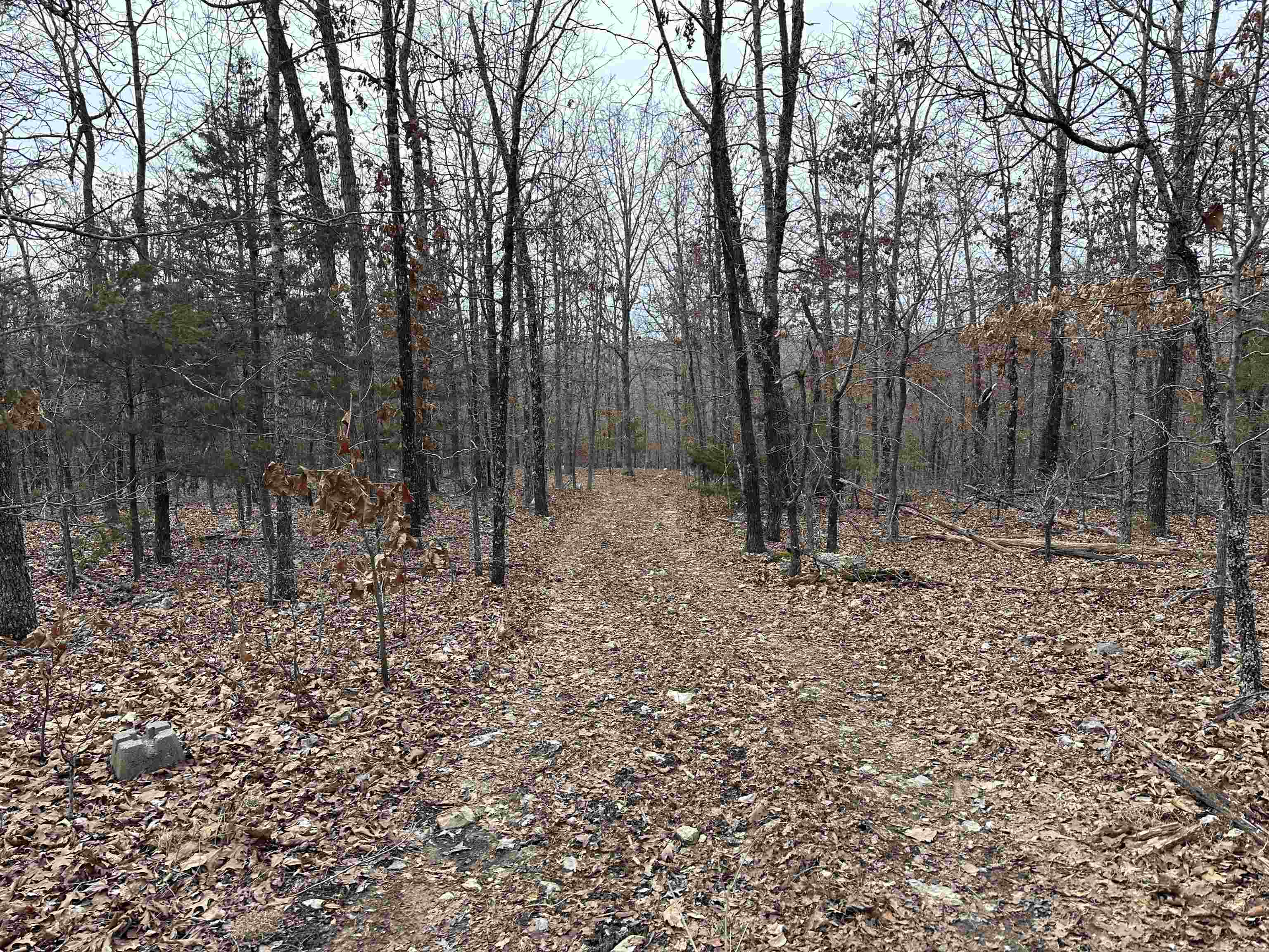 Your Secluded Ozark Mountain Retreat Awaits! Escape to the tranquility of the Ozark Foothills on this beautiful 20-acre +/- wooded property. Perfect for outdoor enthusiasts, this land offers endless possibilities: hunting, camping, recreation, building your dream home or cabin, or simply enjoying the peace and quiet of nature. The property teems with wildlife, including deer and turkey, making it a prime location for hunters. A cut road conveniently runs through the center, dividing the property into two sections. This layout offers several ideal building sites while preserving other areas for hunting and recreation. A power pole and an old well are already in place. Call today for more information and to schedule a showing!