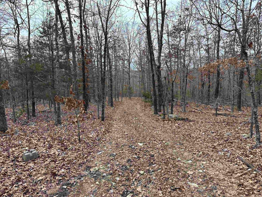 Your Secluded Ozark Mountain Retreat Awaits!  Escape to the tranquility of the Ozark Foothills on this beautiful 20-acre +/- wooded property. Perfect for outdoor enthusiasts, this land offers endless possibilities: hunting, camping, recreation, building your dream home or cabin, or simply enjoying the peace and quiet of nature. The property teems with wildlife, including deer and turkey, making it a prime location for hunters. A cut road conveniently runs through the center, dividing the property into two sections. This layout offers several ideal building sites while preserving other areas for hunting and recreation. A power pole and an old well are already in place. Call today for more information and to schedule a showing!