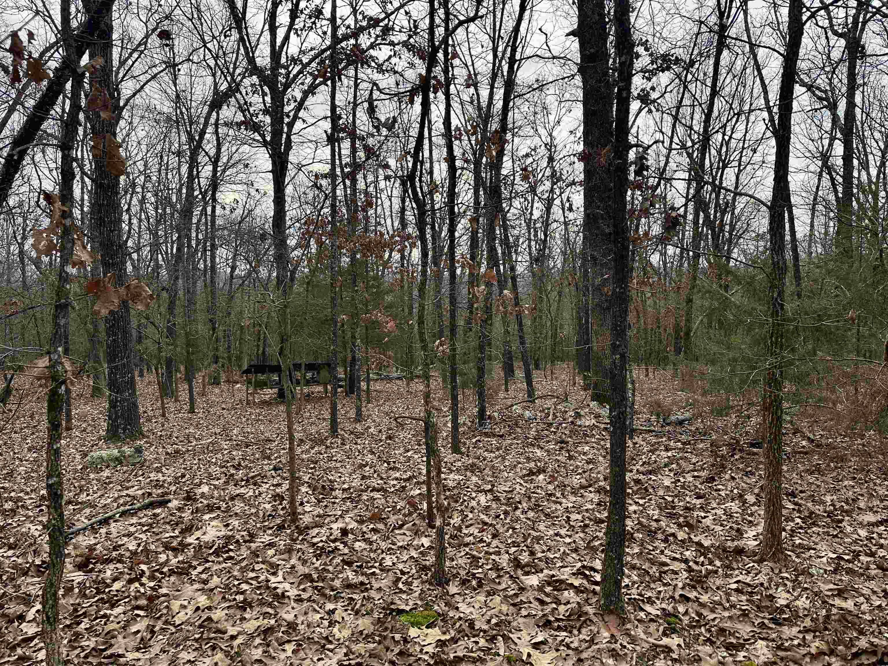 Metes & Bounds - Land