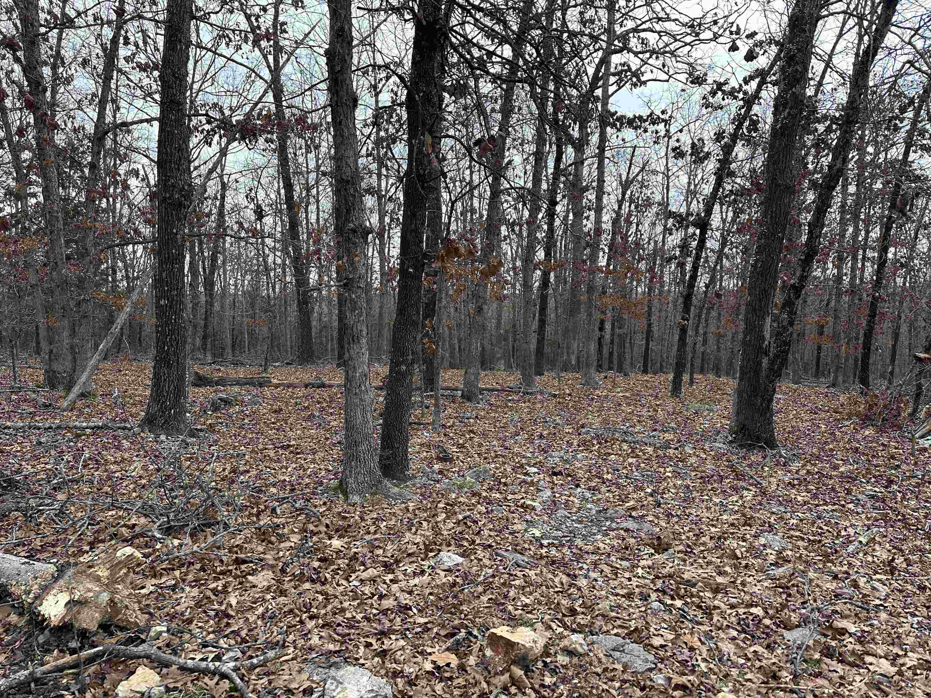 Metes & Bounds - Land