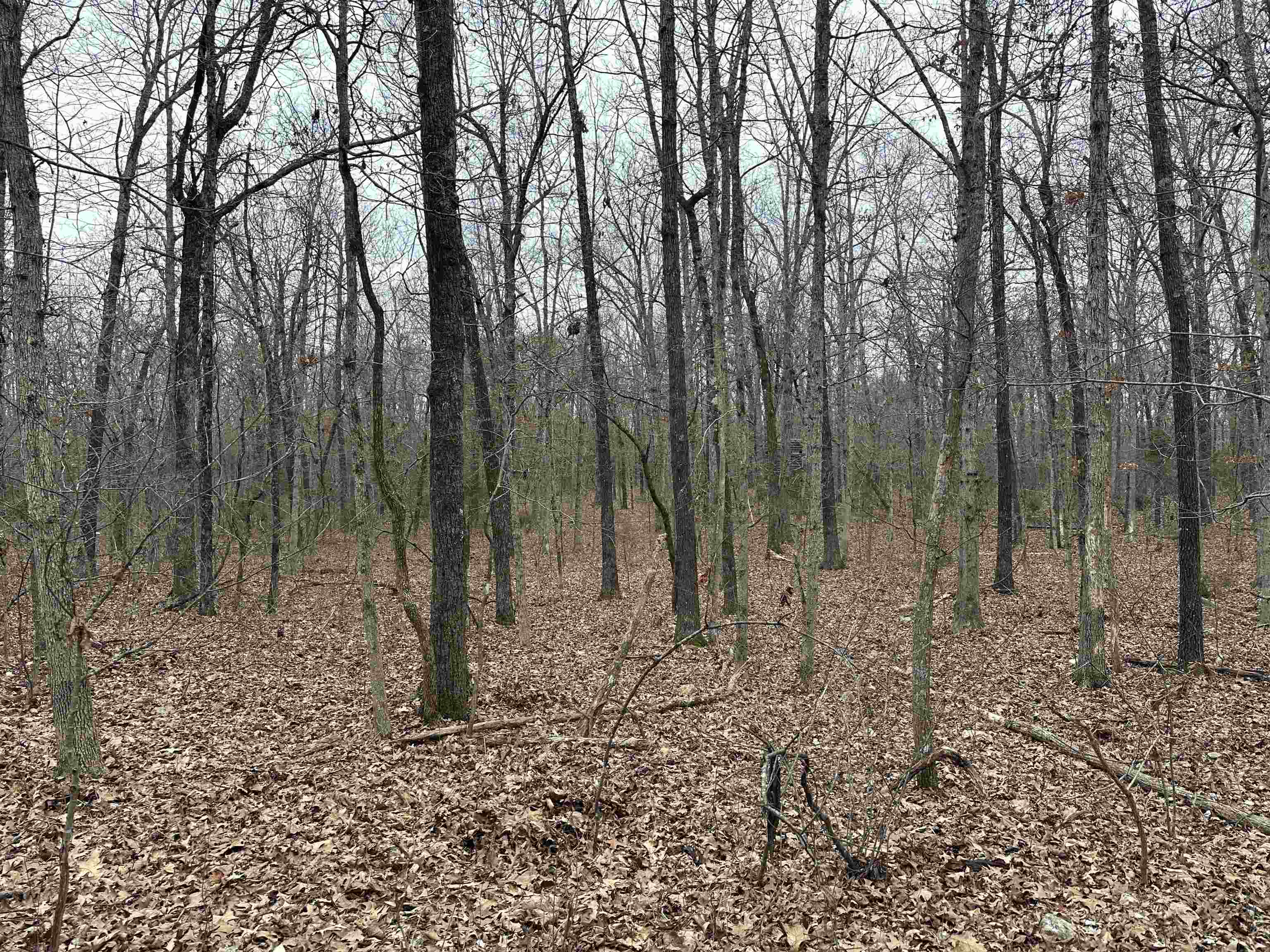 Metes & Bounds - Land