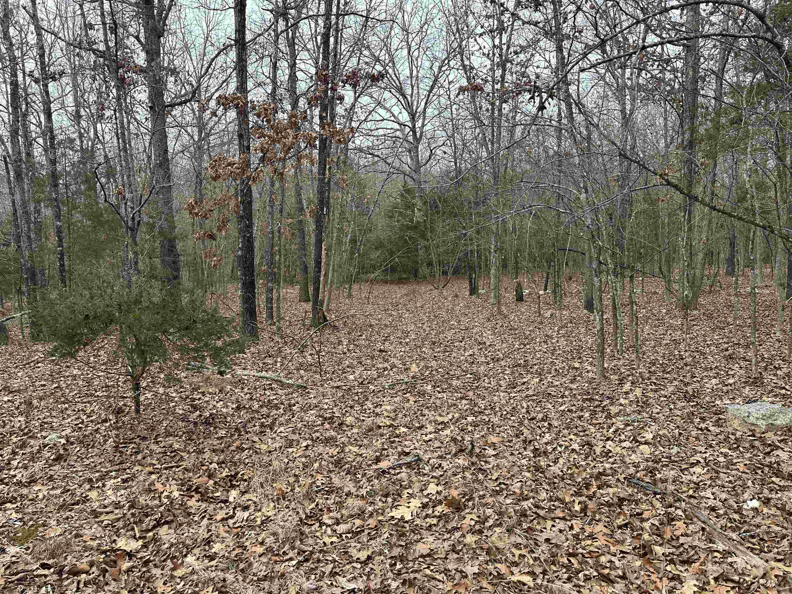 Metes & Bounds - Land