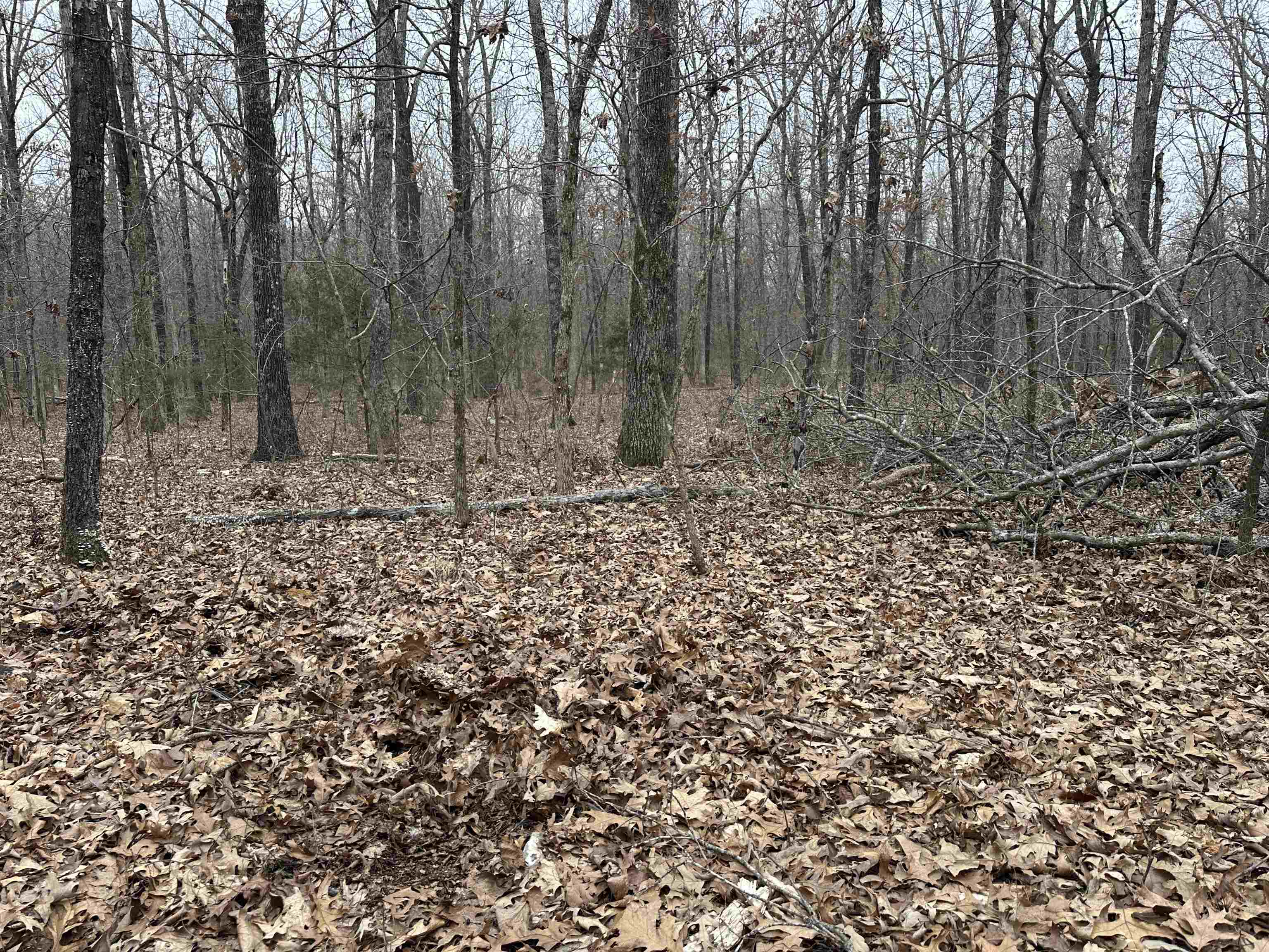 Metes & Bounds - Land