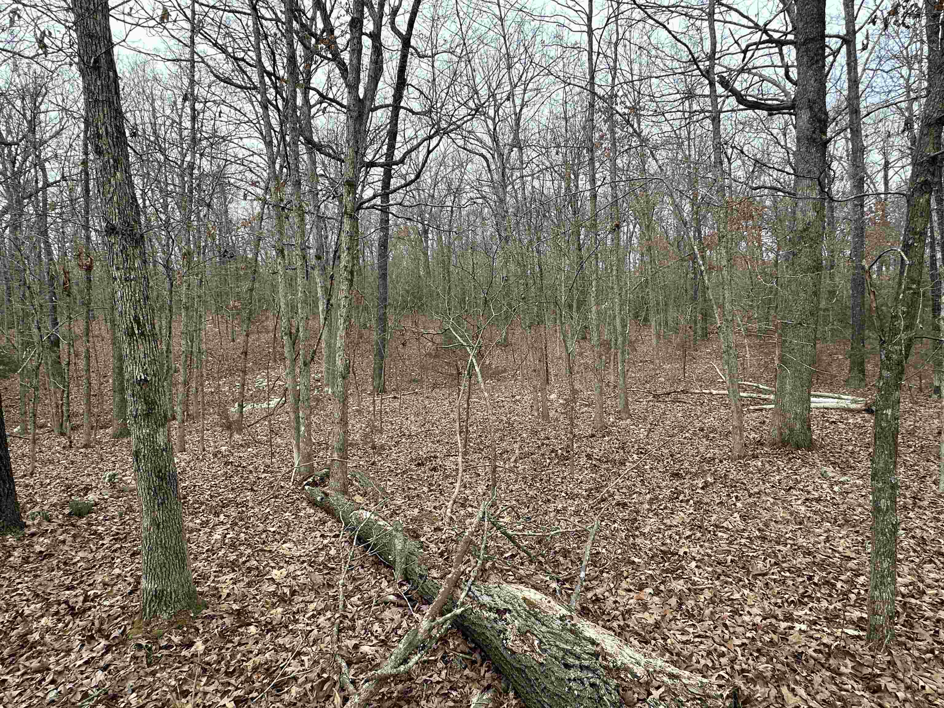 Metes & Bounds - Land