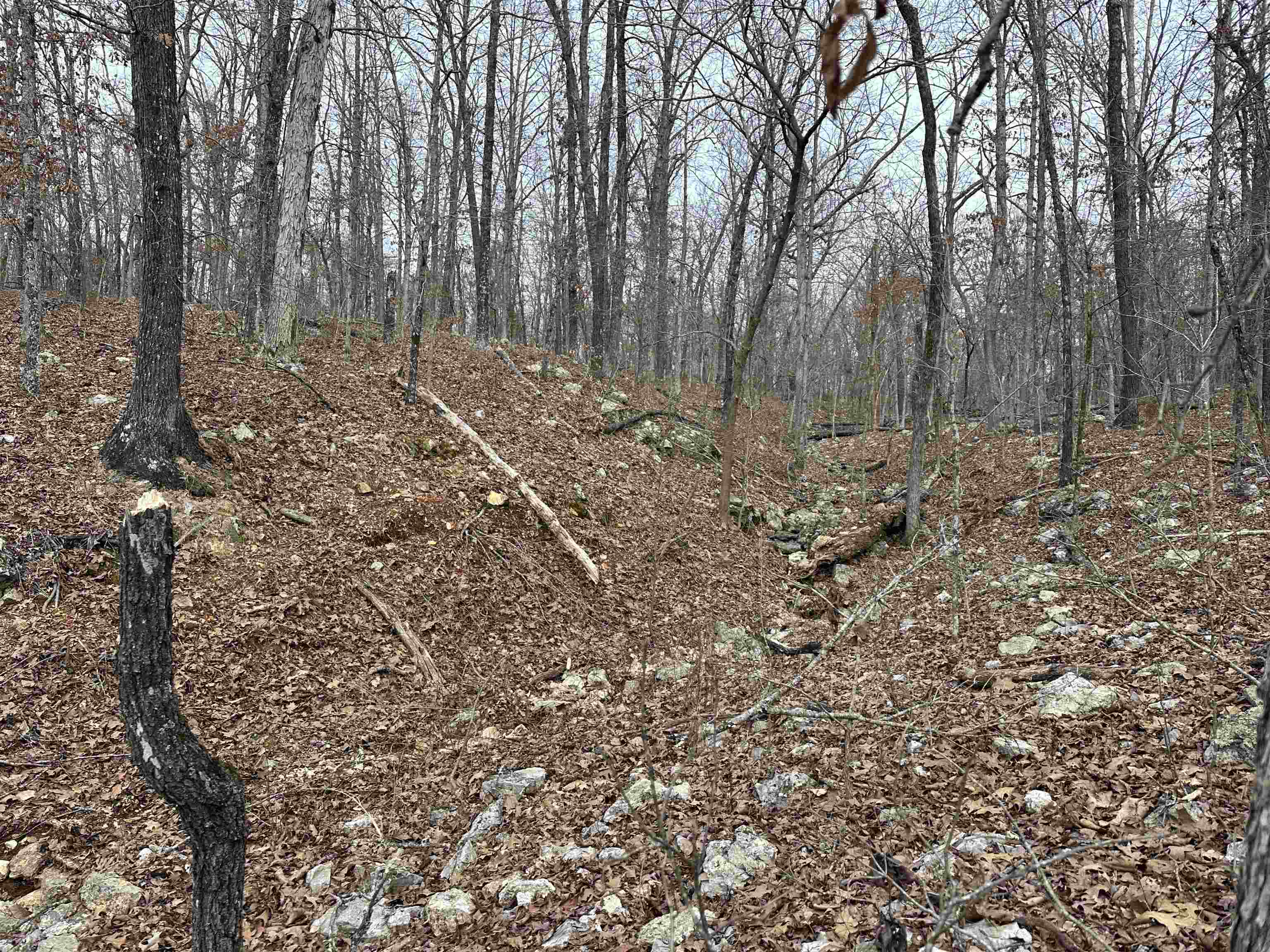 Metes & Bounds - Land